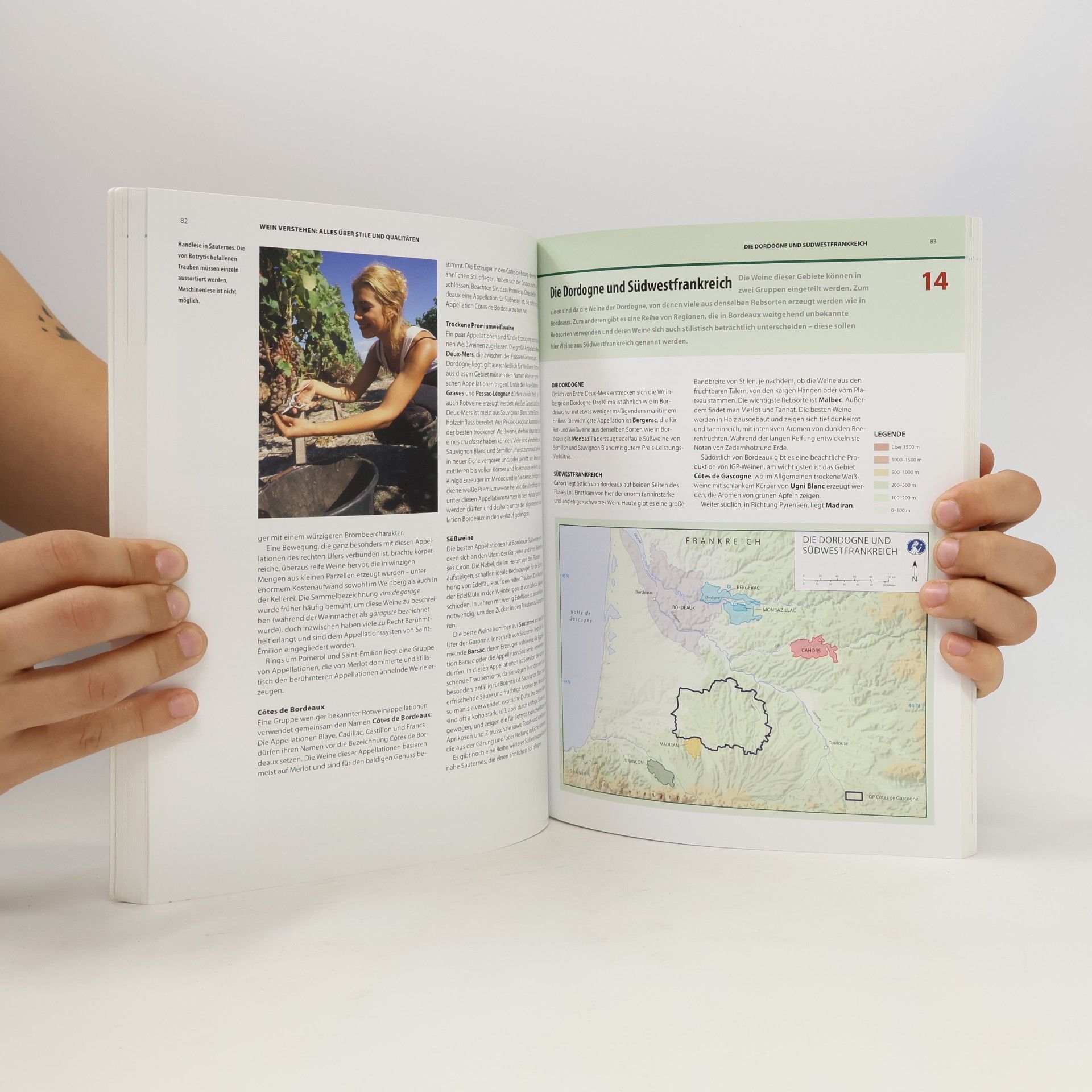 Wine and Spirit Education Trust (Great Britain) Wein verstehen: Alles über Stile und Qualitäten 3