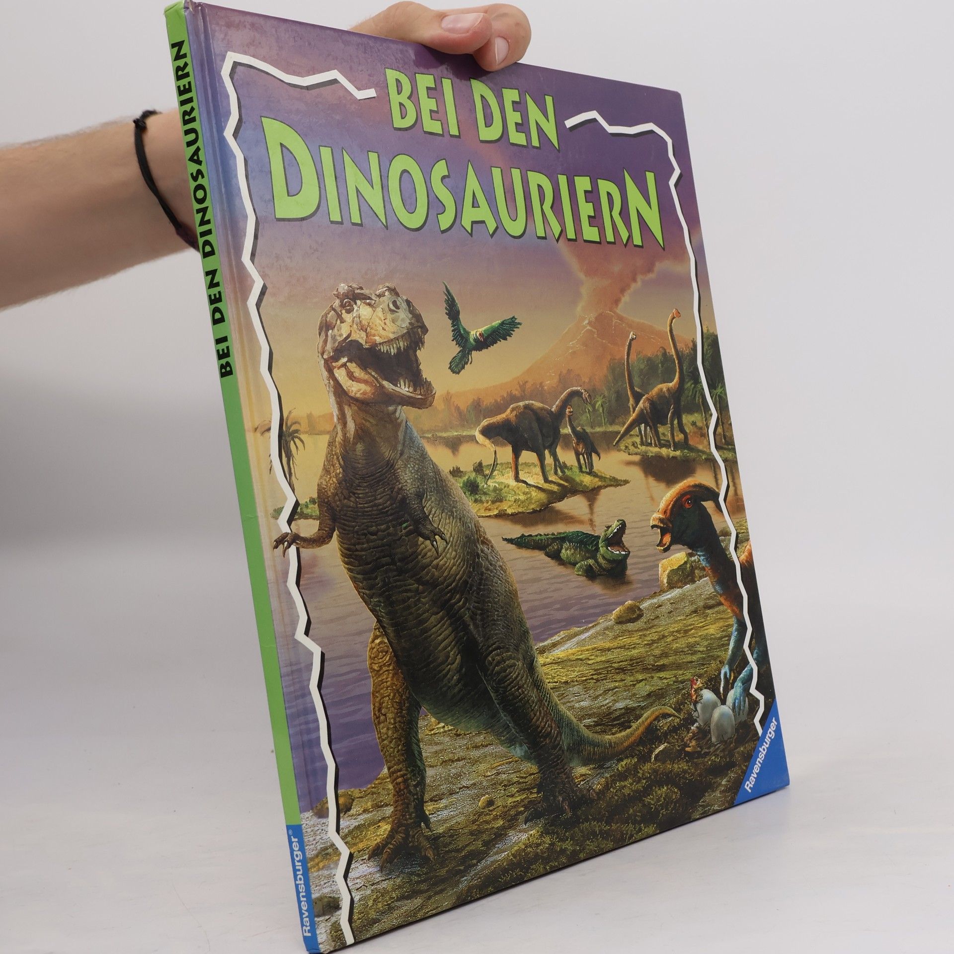 Ralph-Michael Schmidt Bei den Dinosauriern