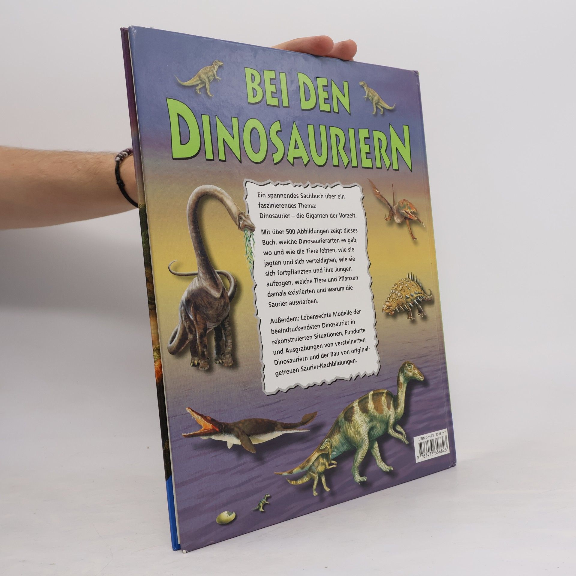 Ralph-Michael Schmidt Bei den Dinosauriern