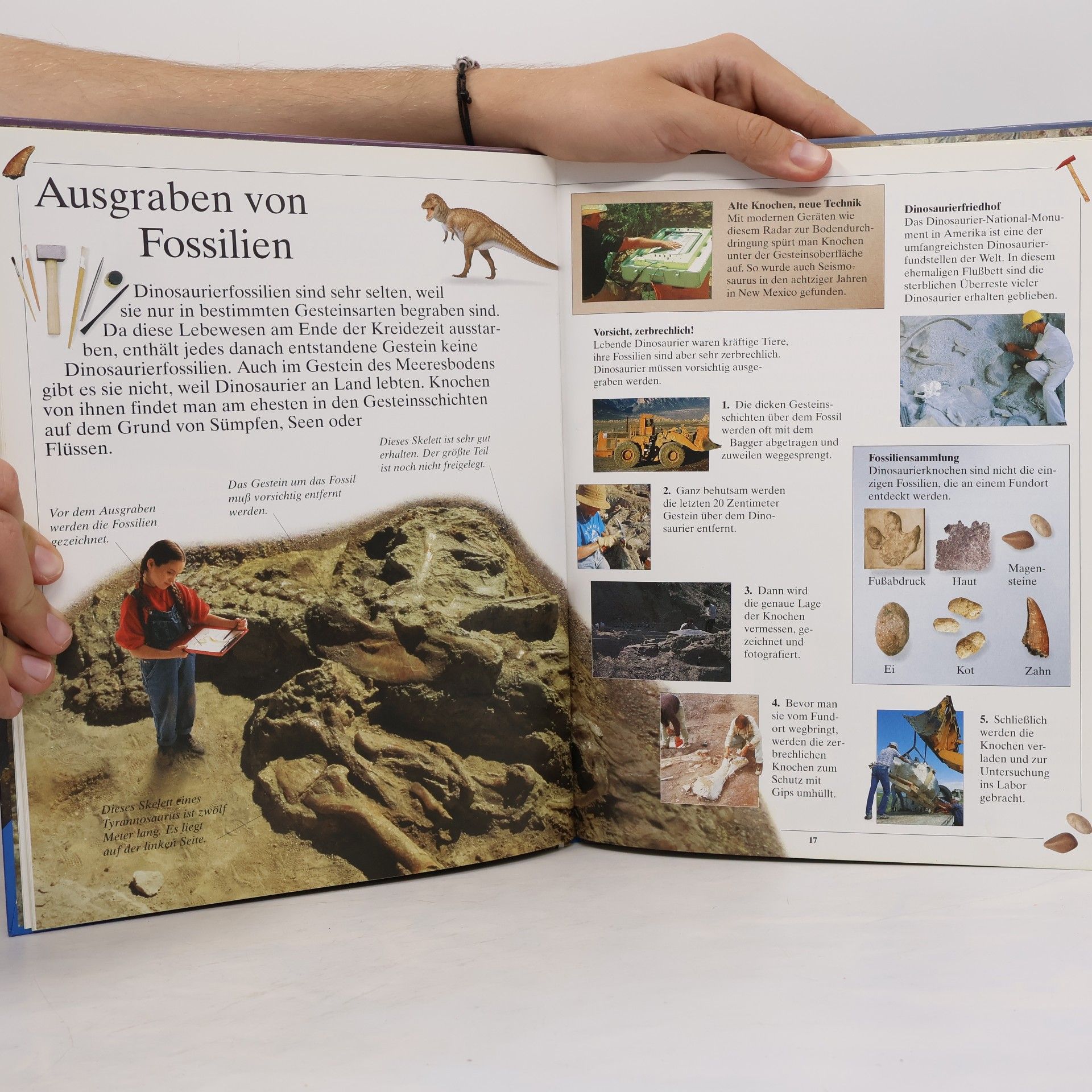 Ralph-Michael Schmidt Bei den Dinosauriern