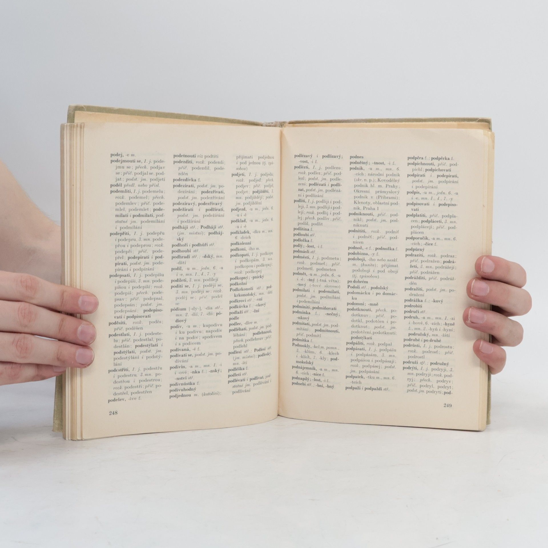 Autorenkollektiv Pravidla českého pravopisu
