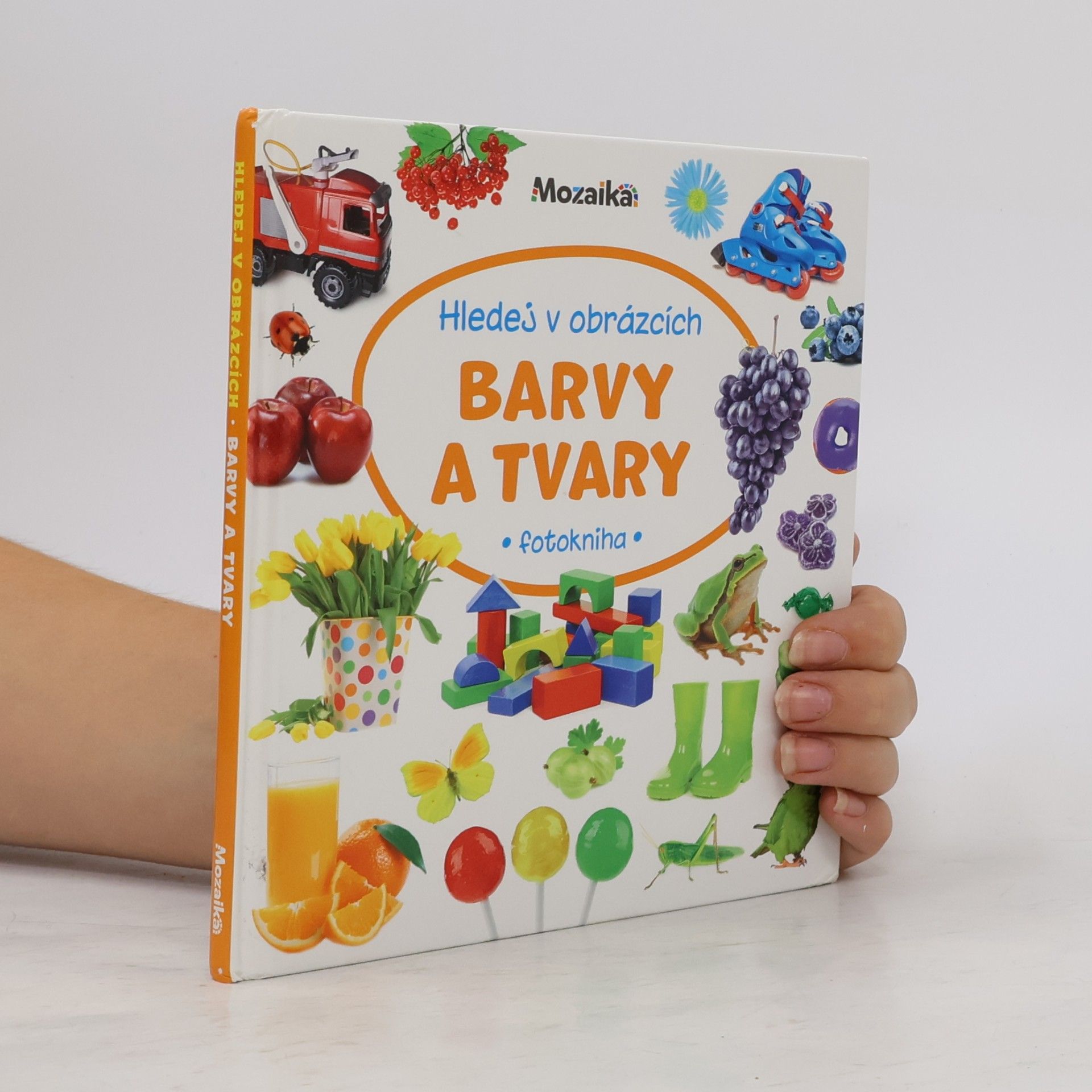 Collectif d'auteurs Barvy a tvary : fotokniha