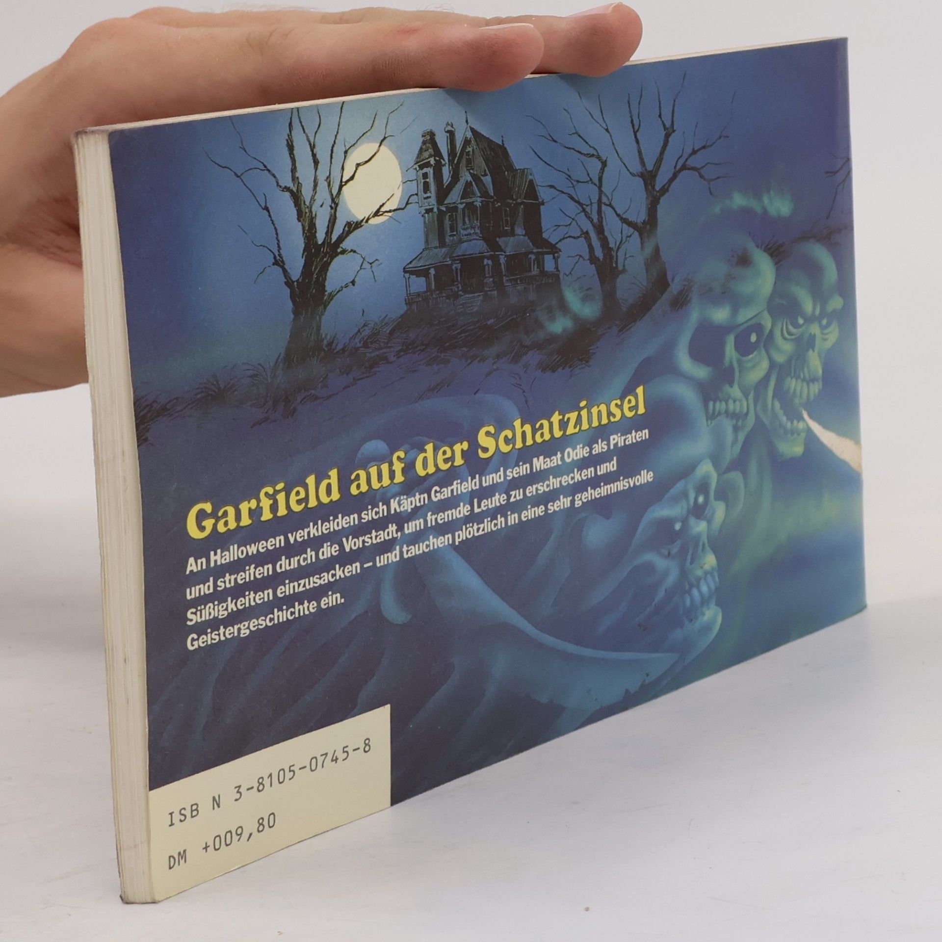 Jim Davis Garfield auf der Schatzinsel