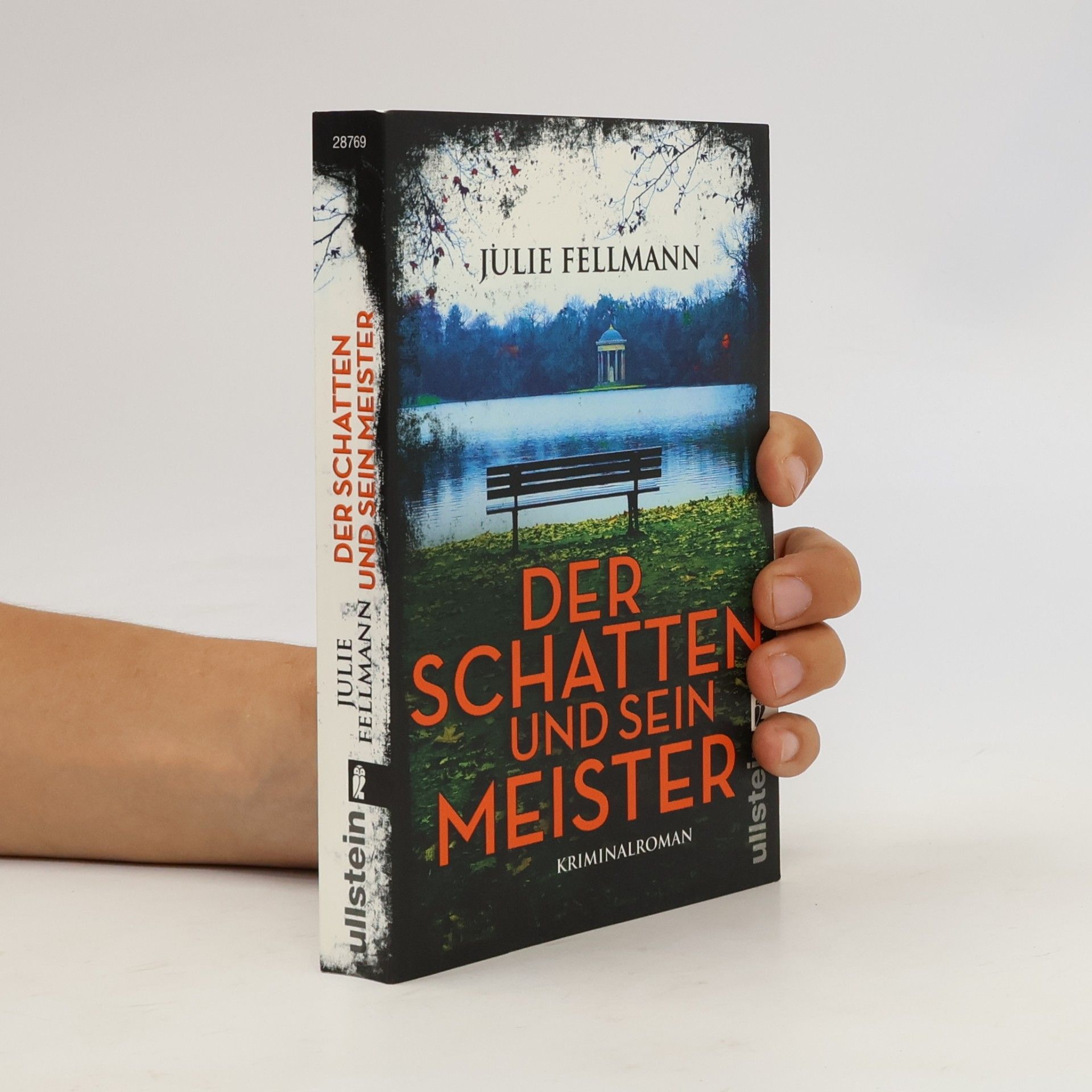 Julie Fellmann Der Schatten und sein Meister