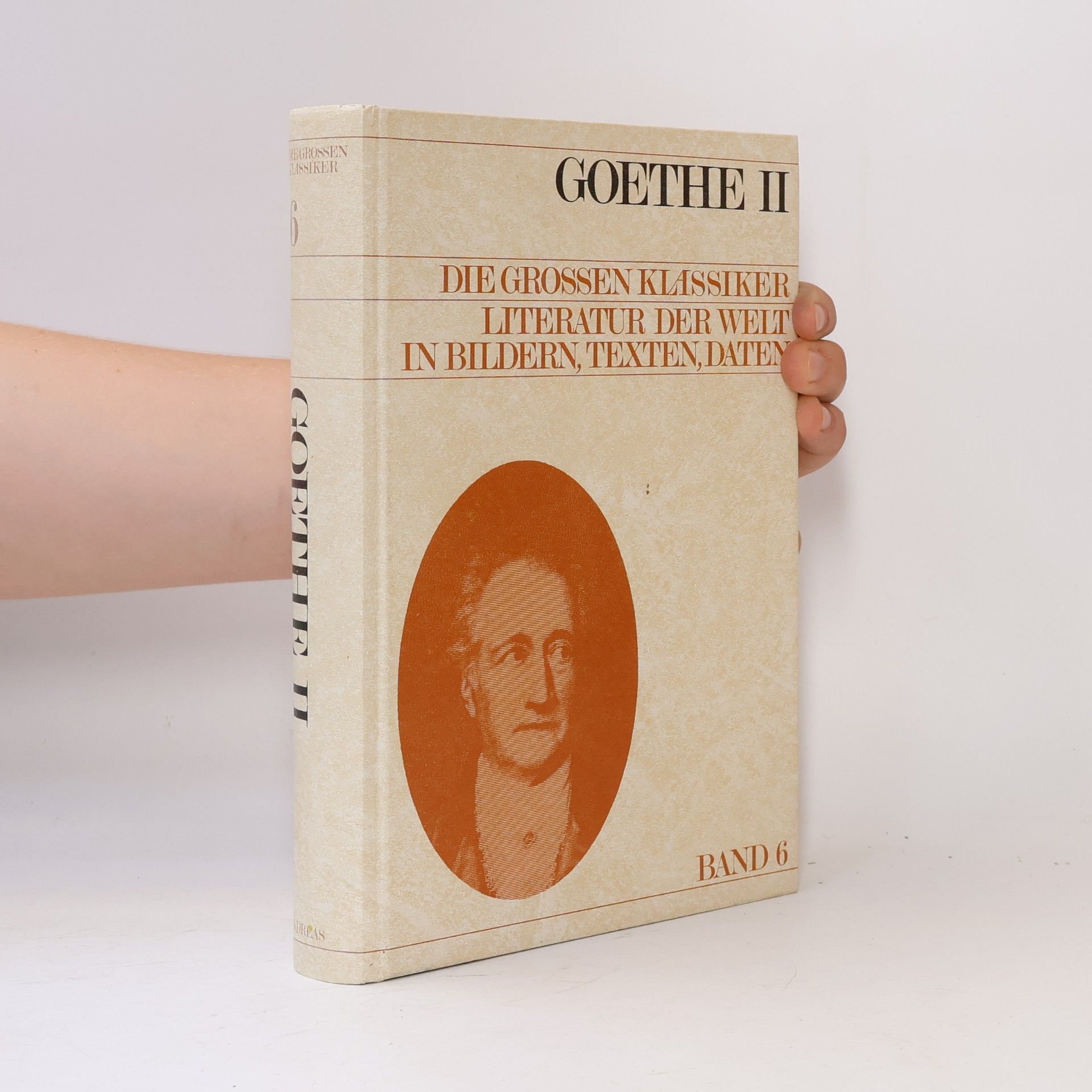 Kolektiv autorů Die Grossen Klassiker 6: Goethe II