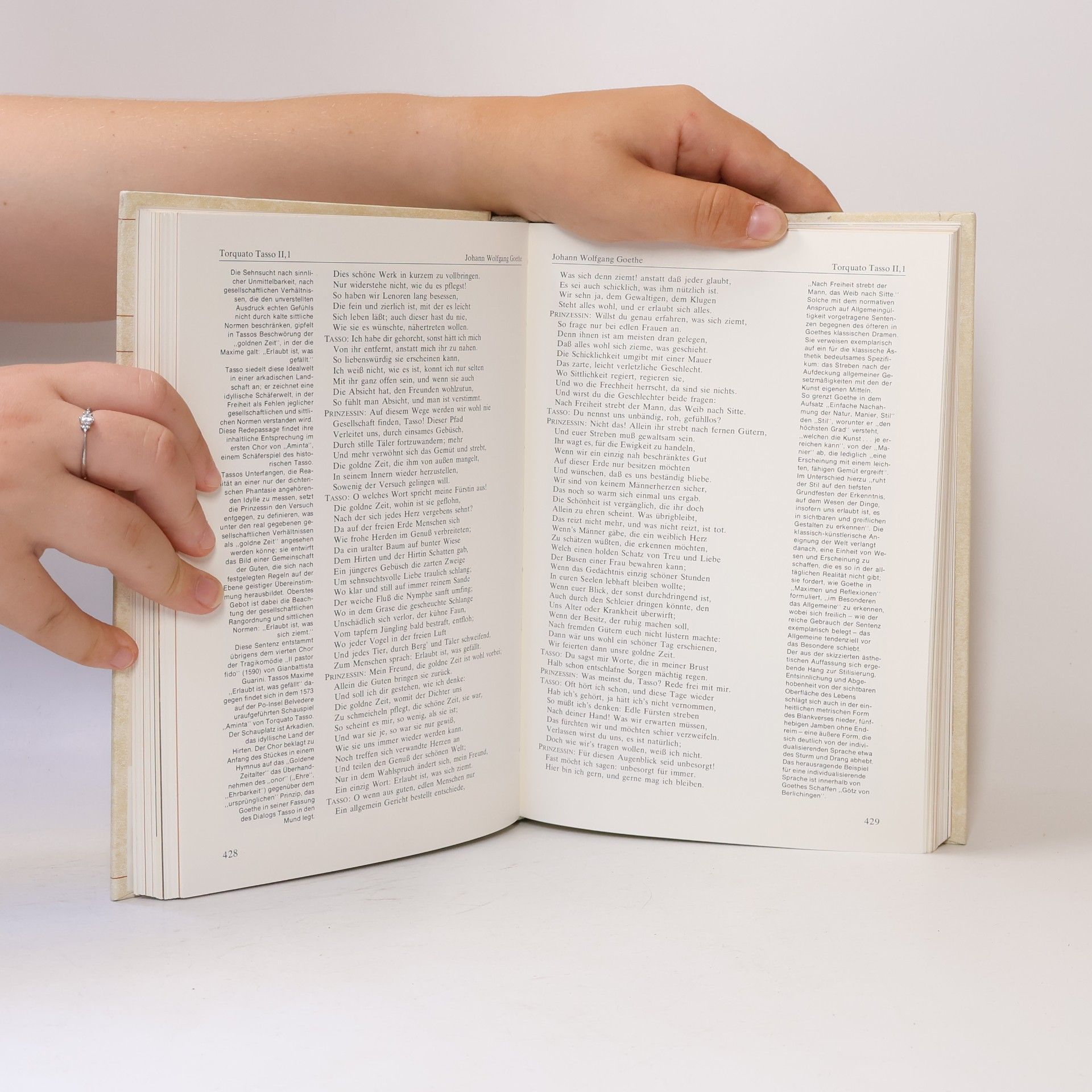 Kolektiv autorů Die Grossen Klassiker 6: Goethe II