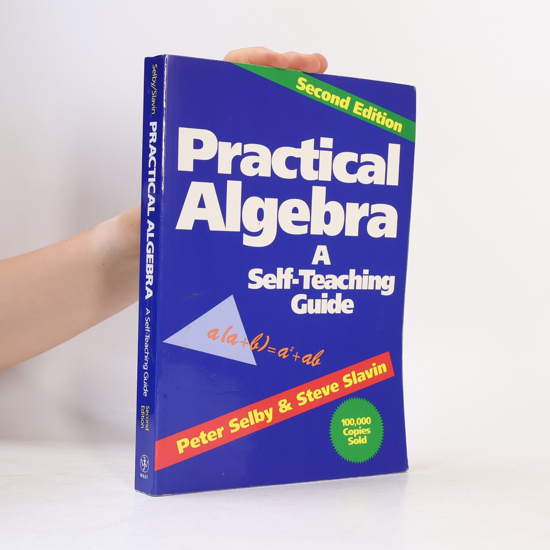 Steve Slavin Practical Algebra