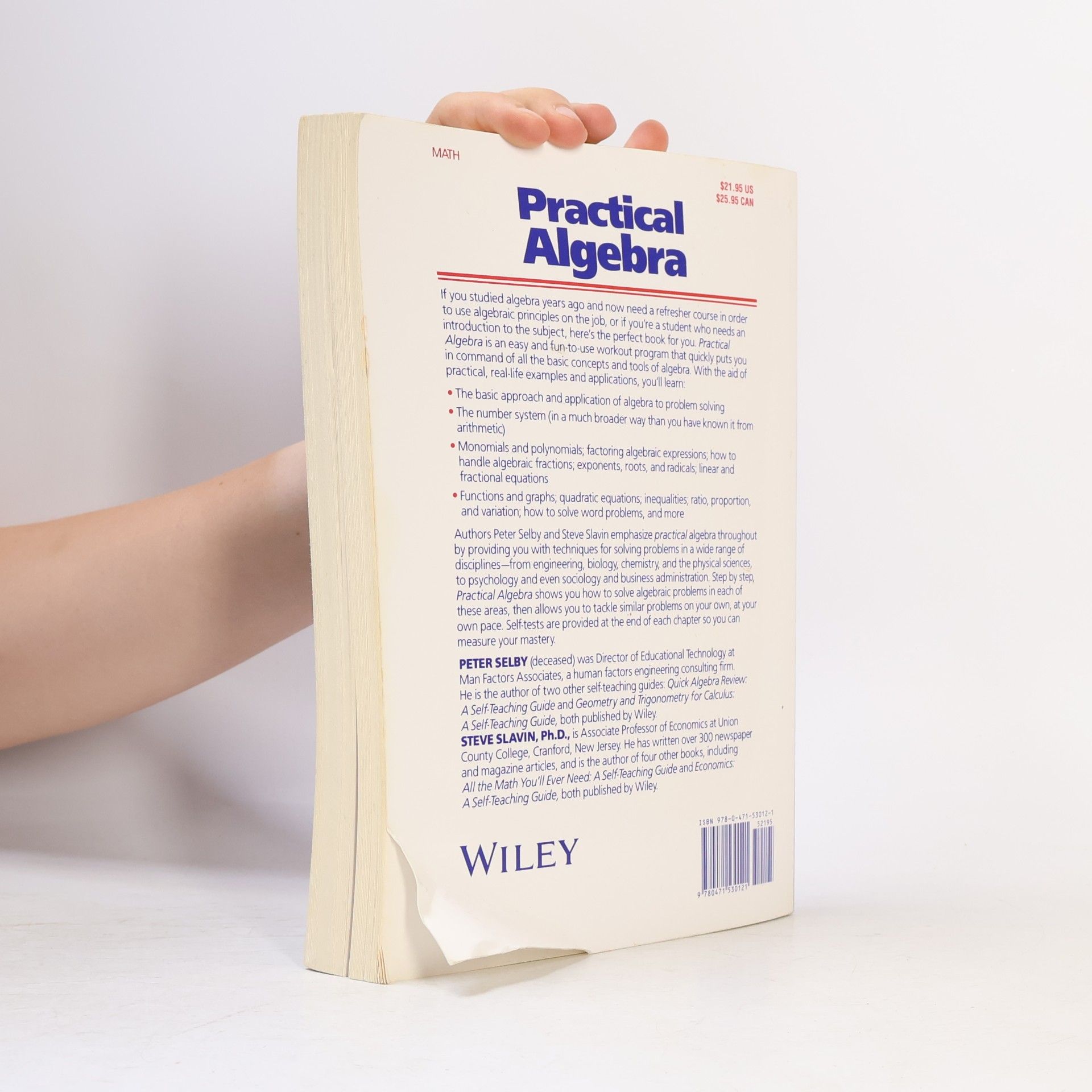 Steve Slavin Practical Algebra
