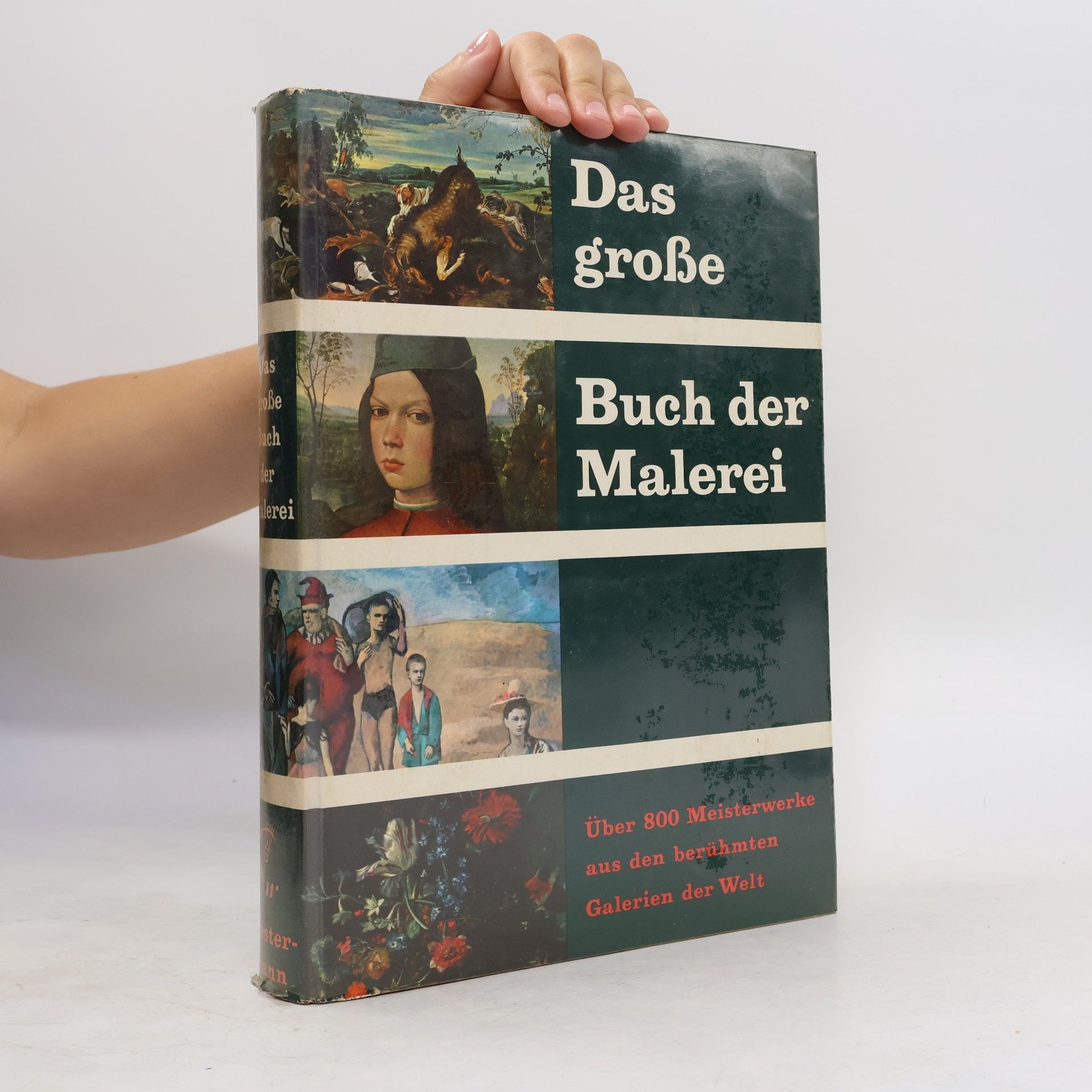 Kolektiv autorů Das Grosse Buch der Malerei