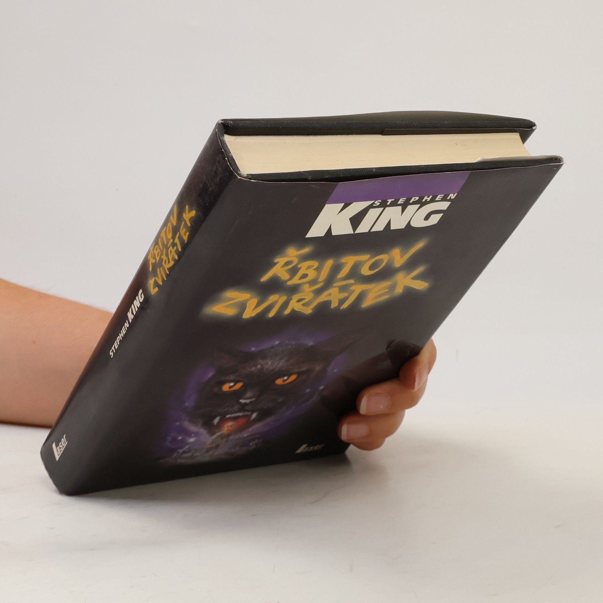 Stephen King Řbitov zviřátek