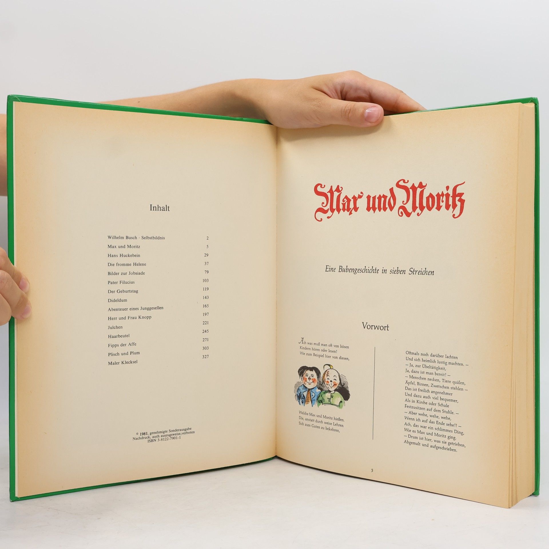 Wilhelm Busch Das große Wilhelm Busch Album in Farbe