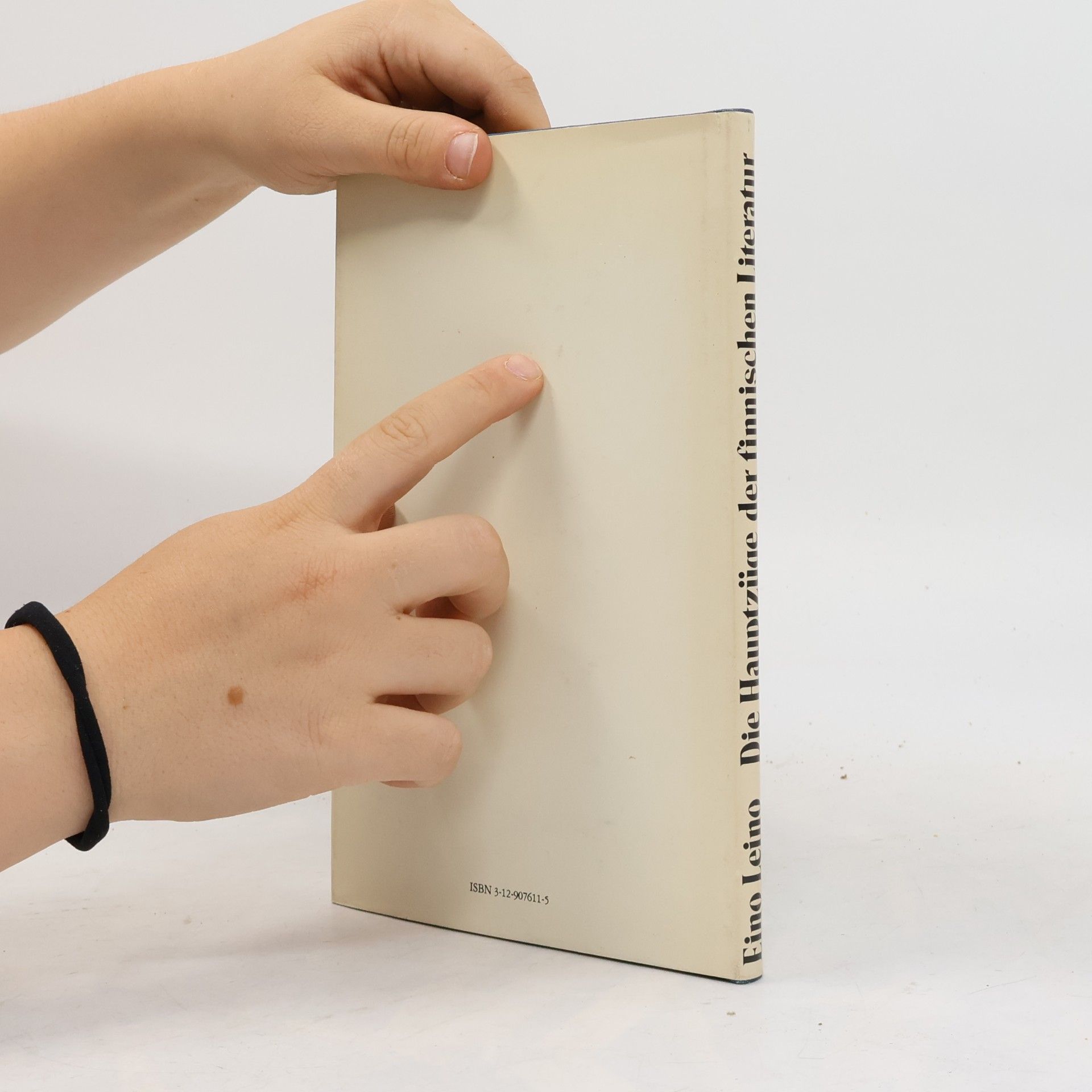 Eino Leino Die Hauptzüge der finnischen Literatur