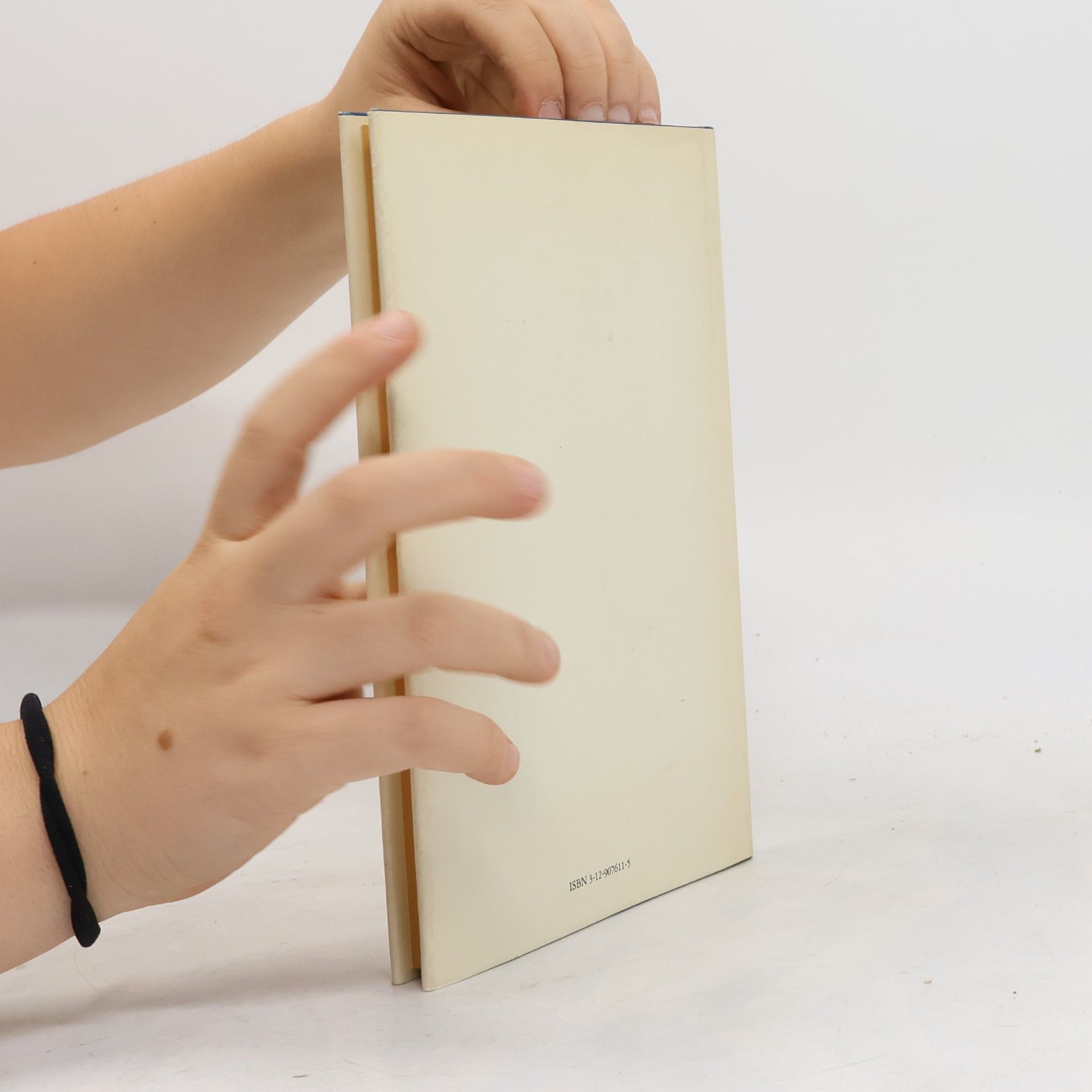 Eino Leino Die Hauptzüge der finnischen Literatur