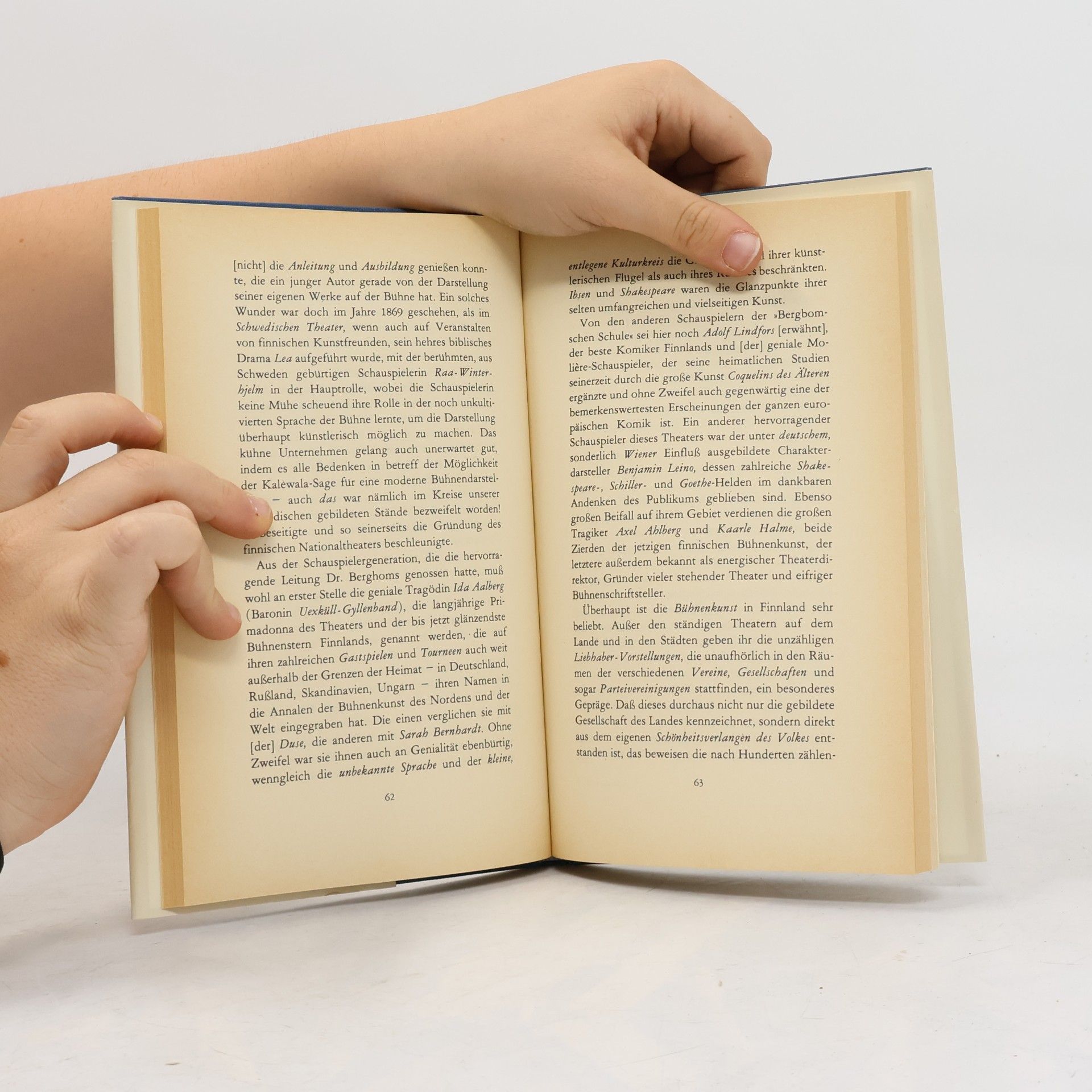 Eino Leino Die Hauptzüge der finnischen Literatur