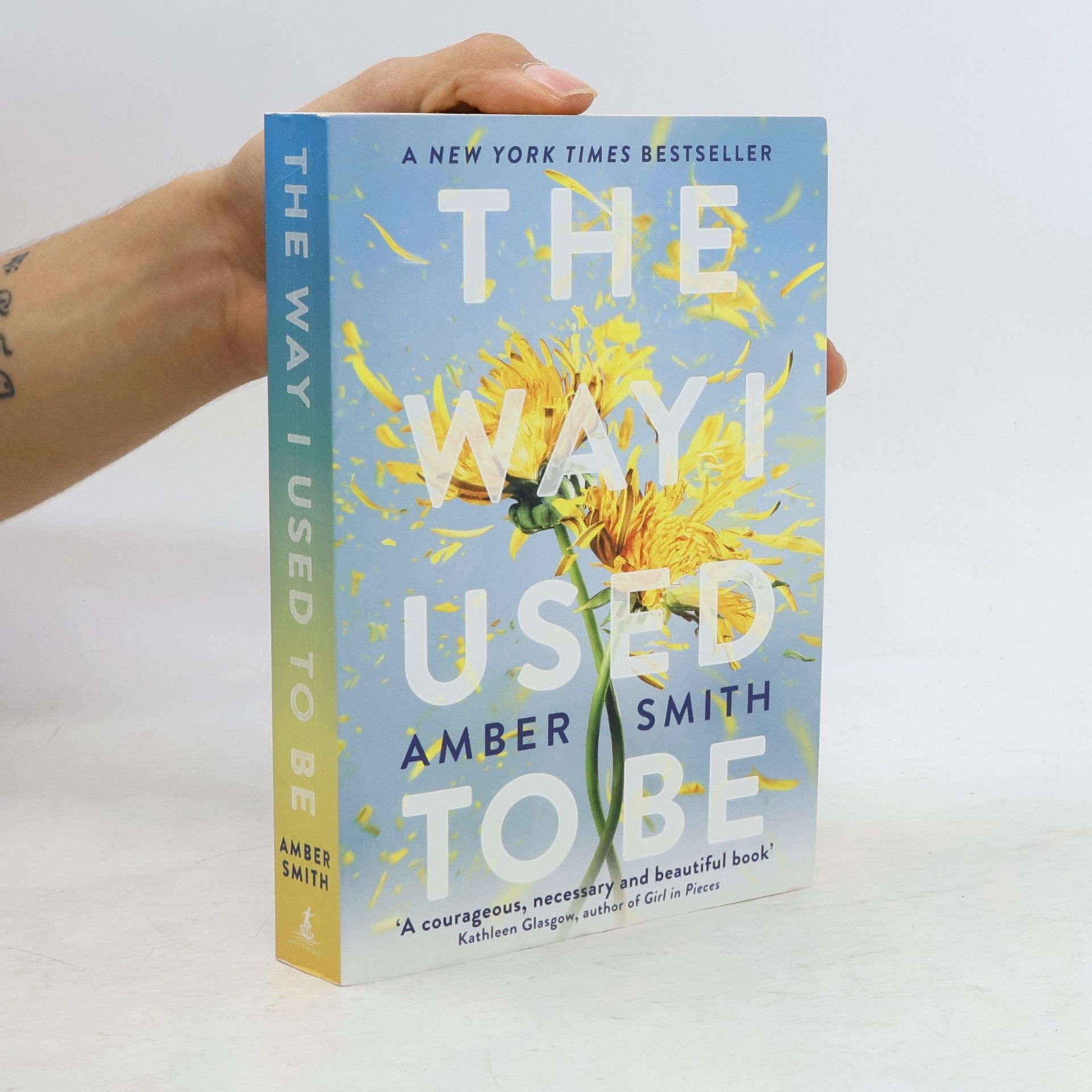 Amber Smith The Way I Used to Be