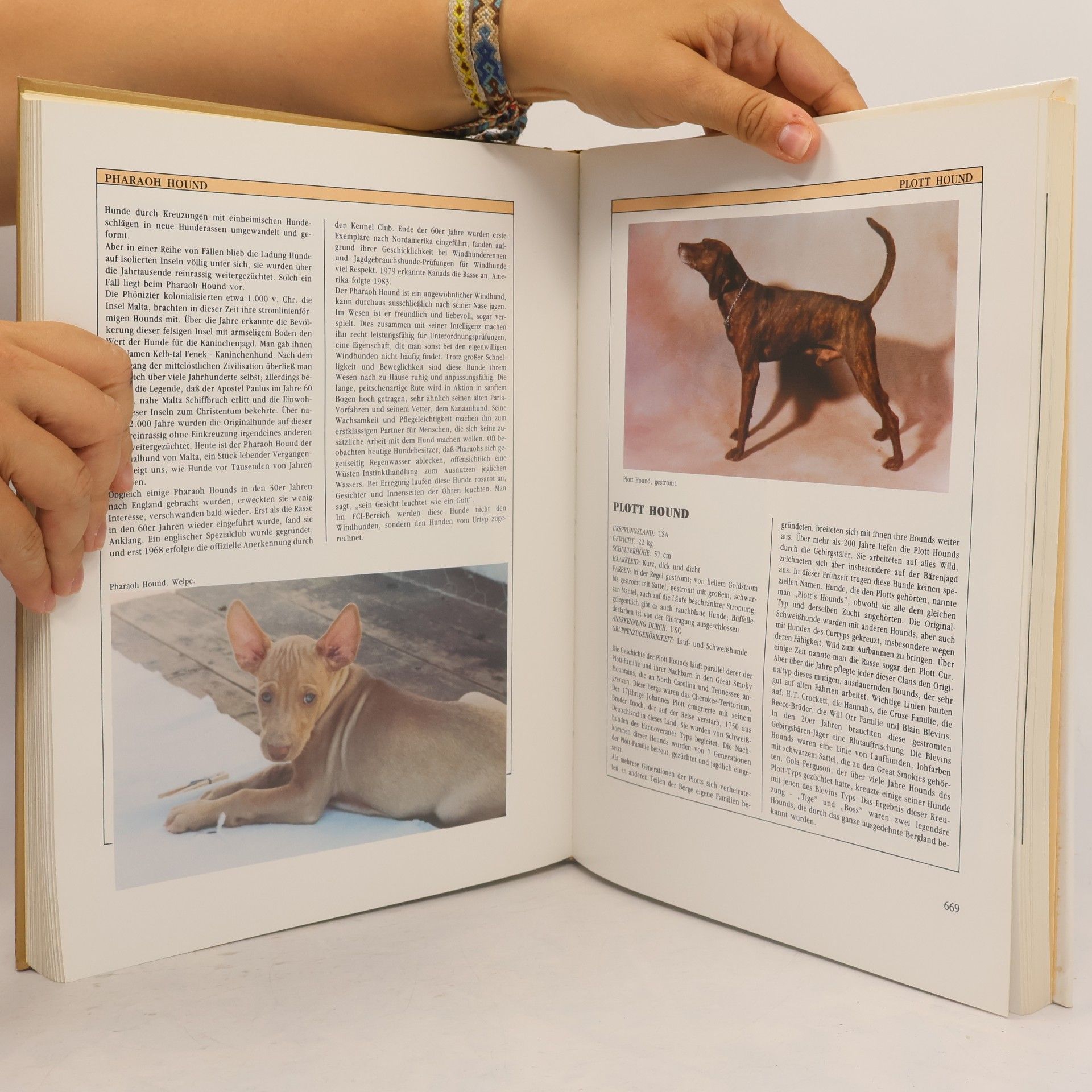 Bonnie Wilcox Kynos-Atlas Hunderassen der Welt