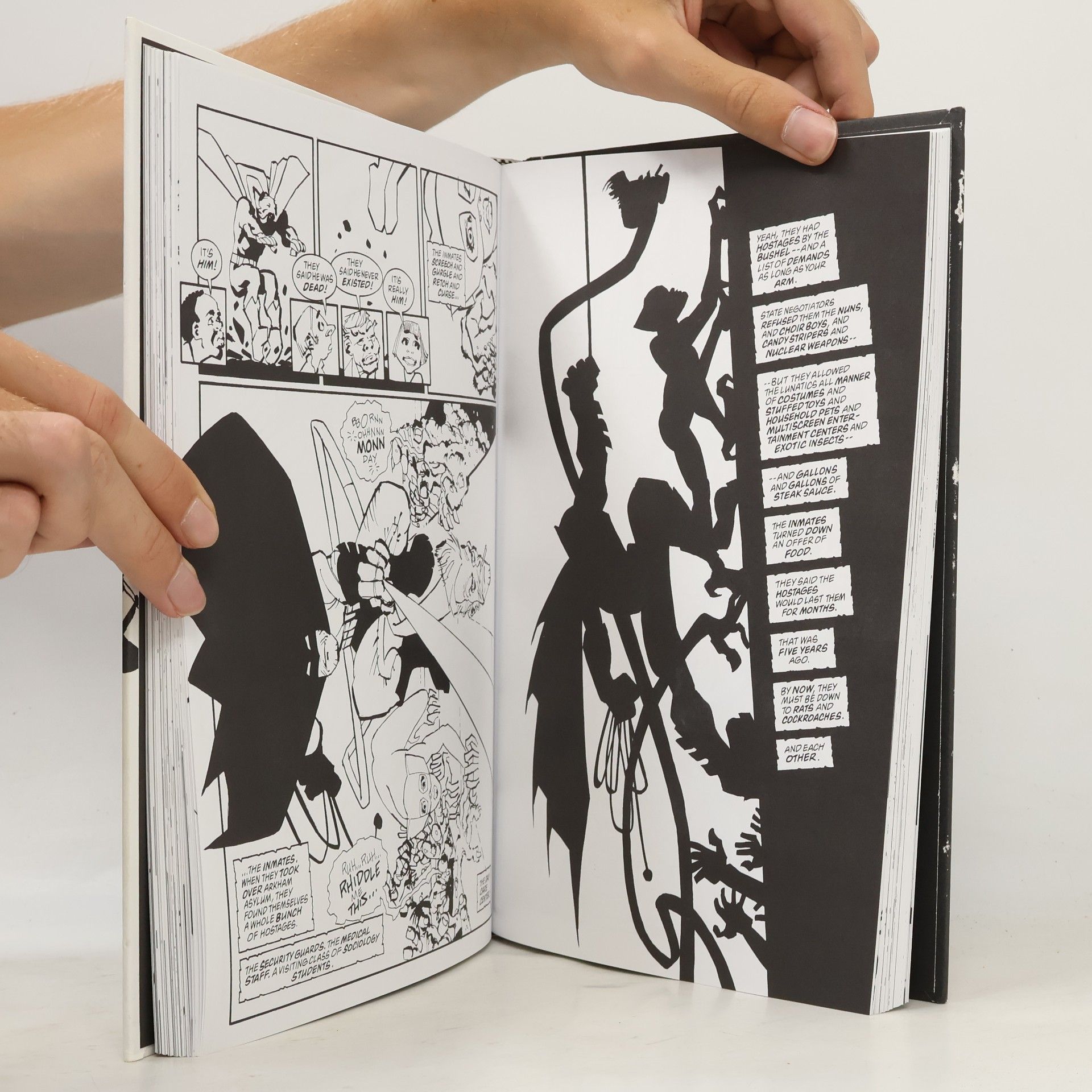Frank Miller Batman Noir: The Dark Knight Strikes Again