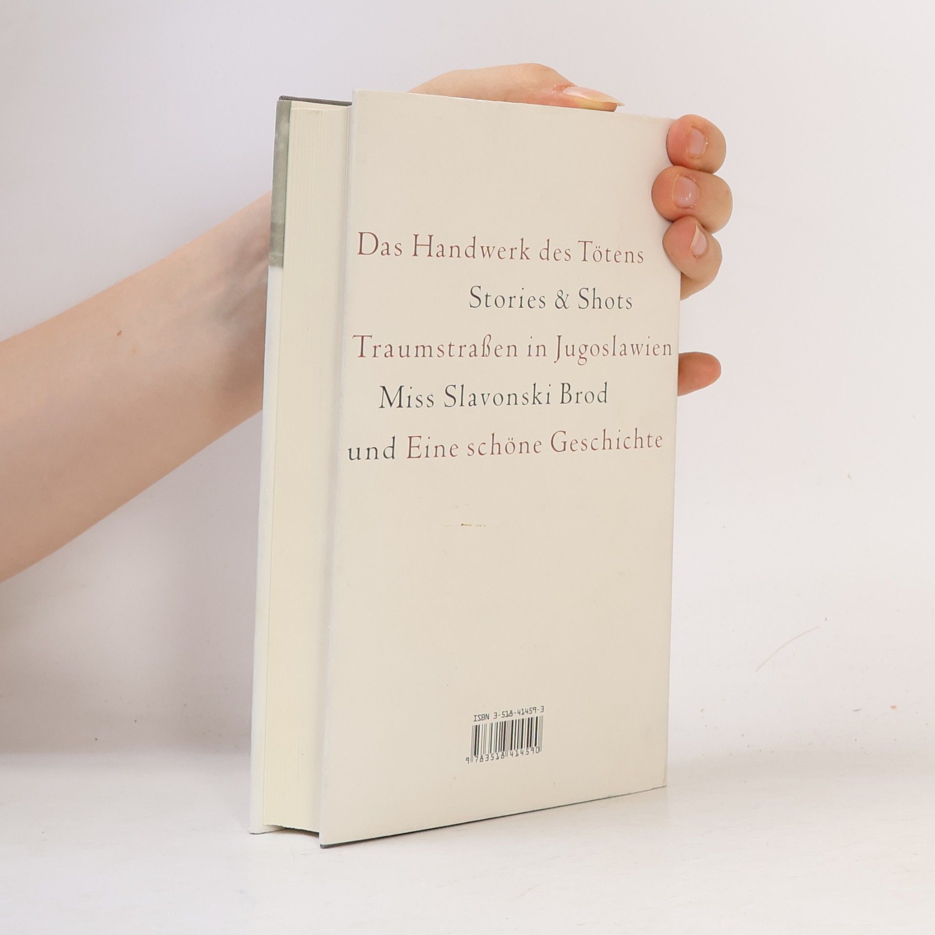 Norbert Gstrein Das Handwerk des Tötens