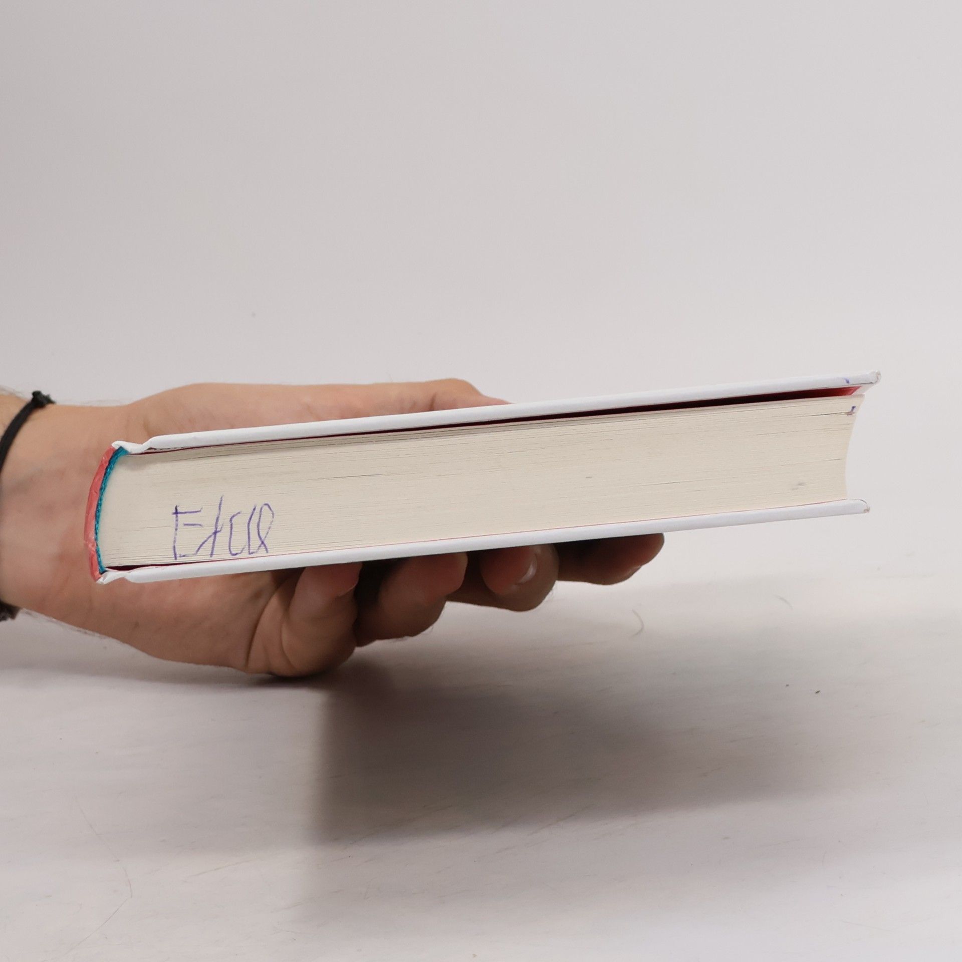 Pia Herzog Ihr mich auch