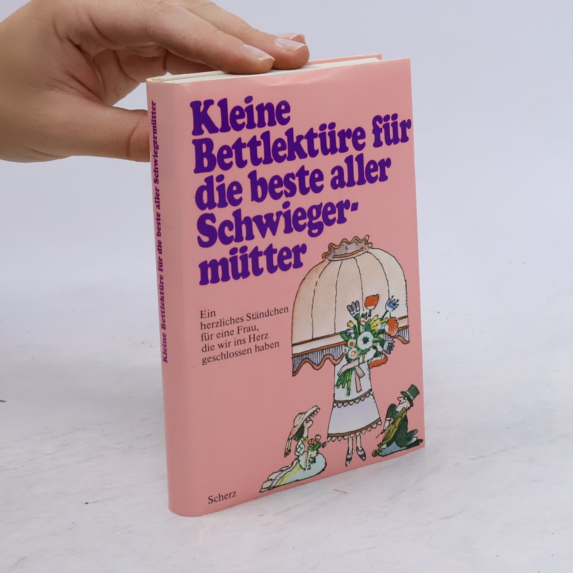 Kolektiv autorů Kleine Bettlektüre für die beste aller Schwiegermütter