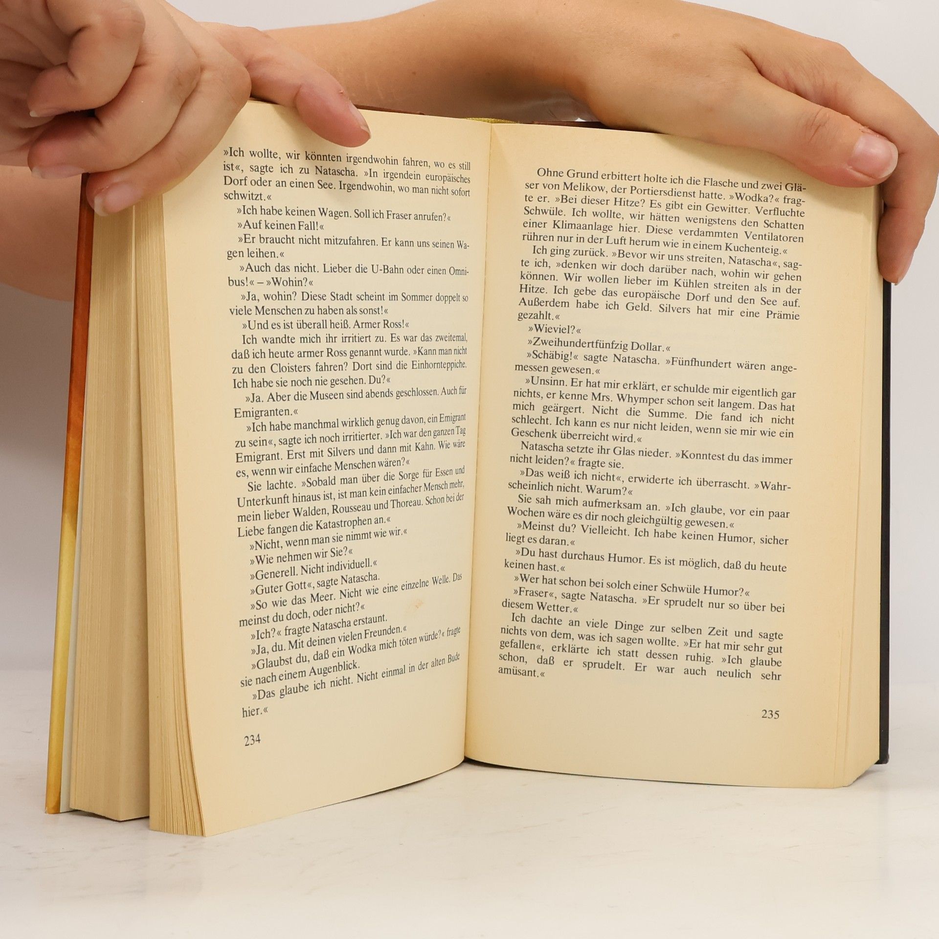 Erich Maria Remarque Schatten im Paradies