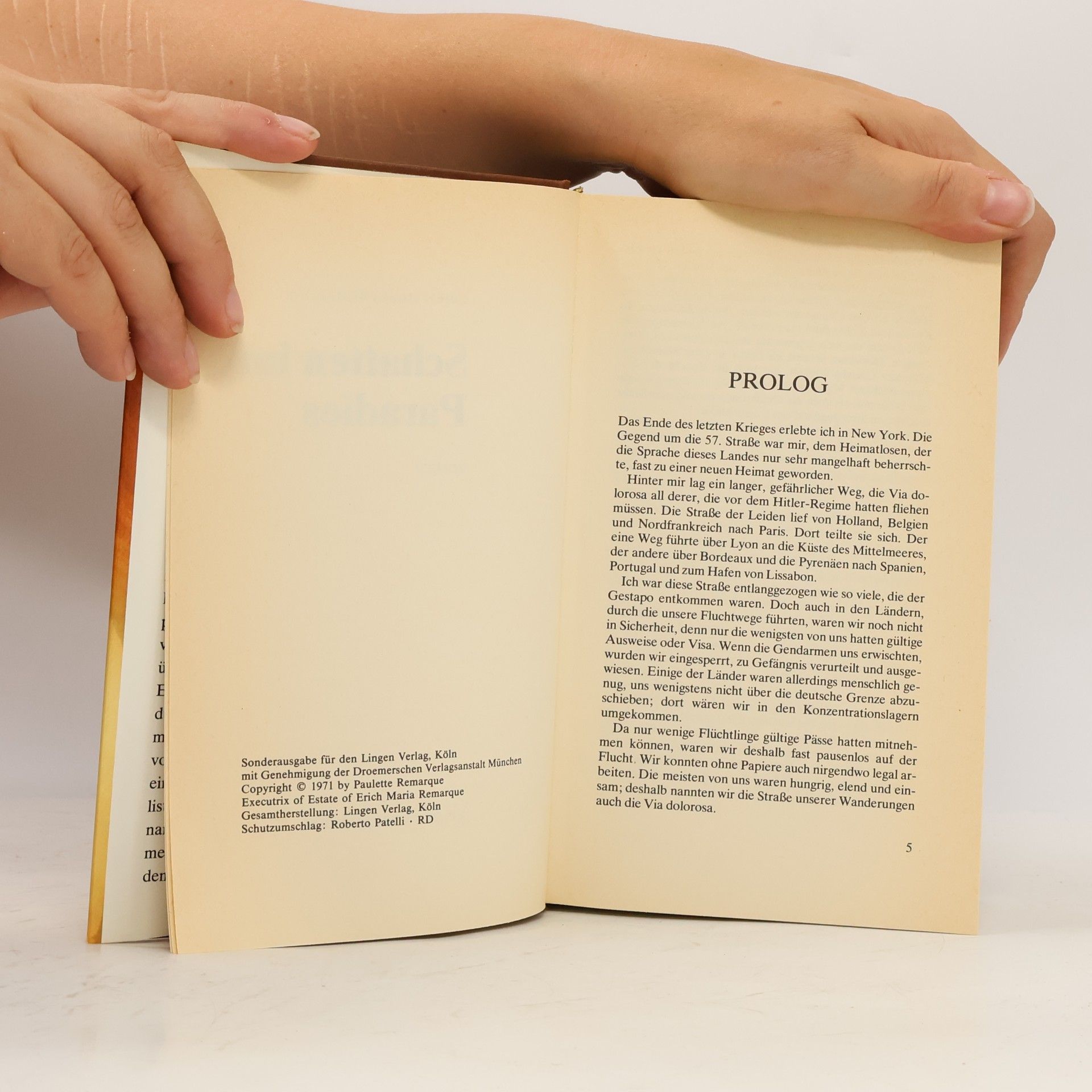 Erich Maria Remarque Schatten im Paradies