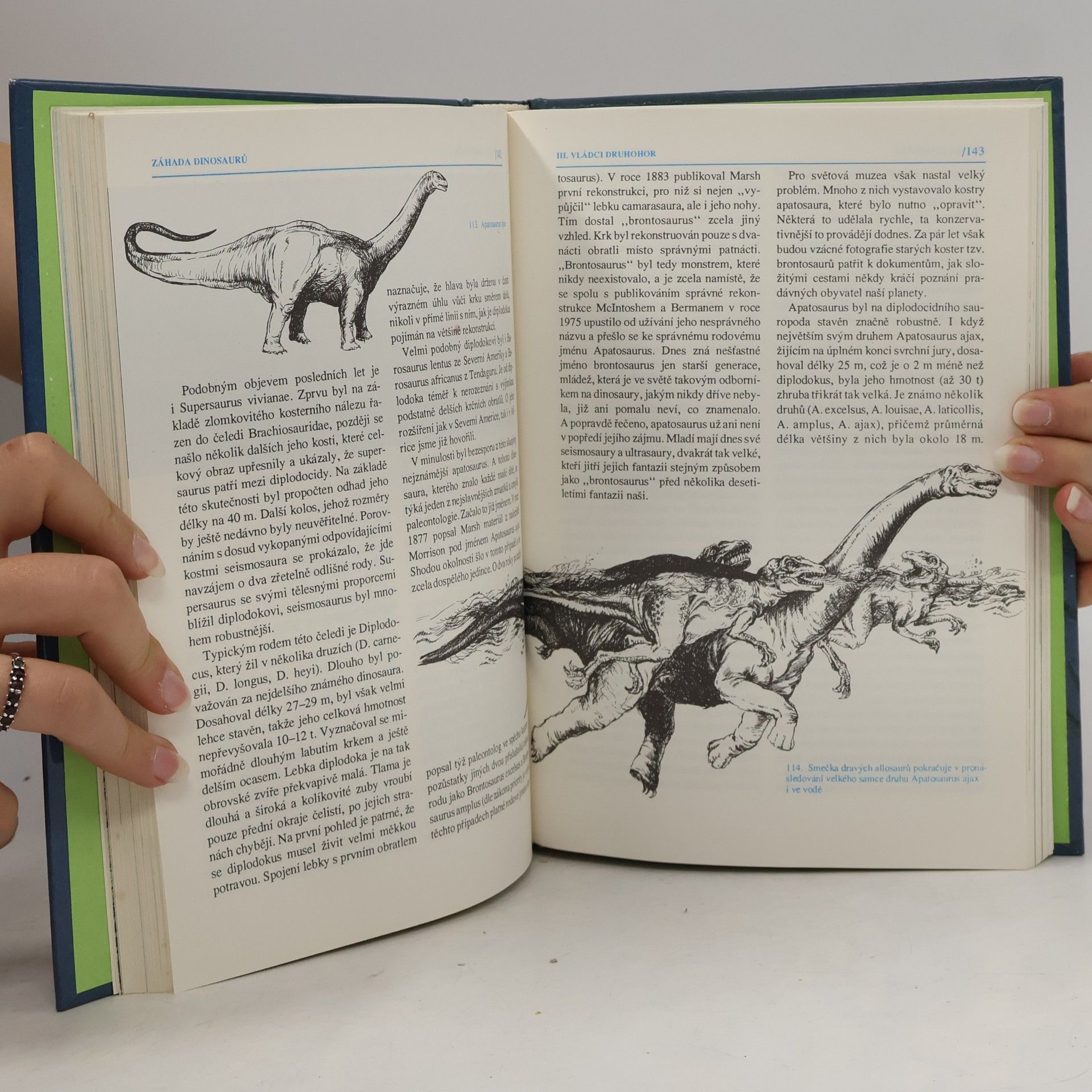 Jaroslav Mareš Záhada dinosaurů
