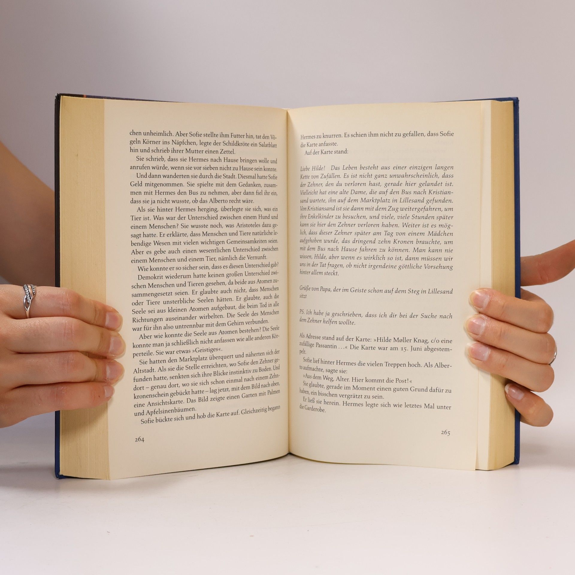 Jostein Gaarder Sofies Welt