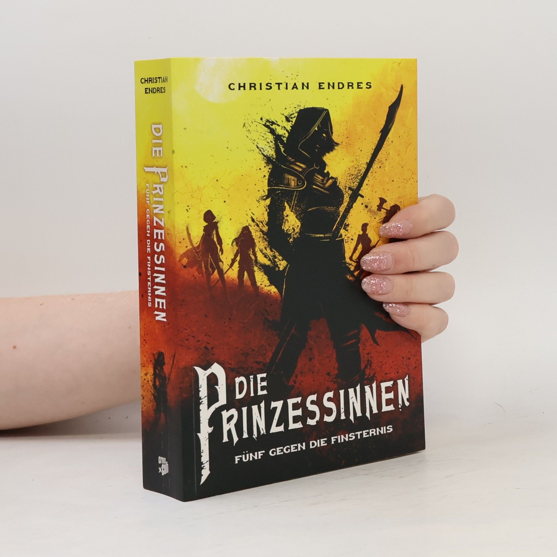Christian Endreß Die Prinzessinnen - fünf gegen die Finsternis