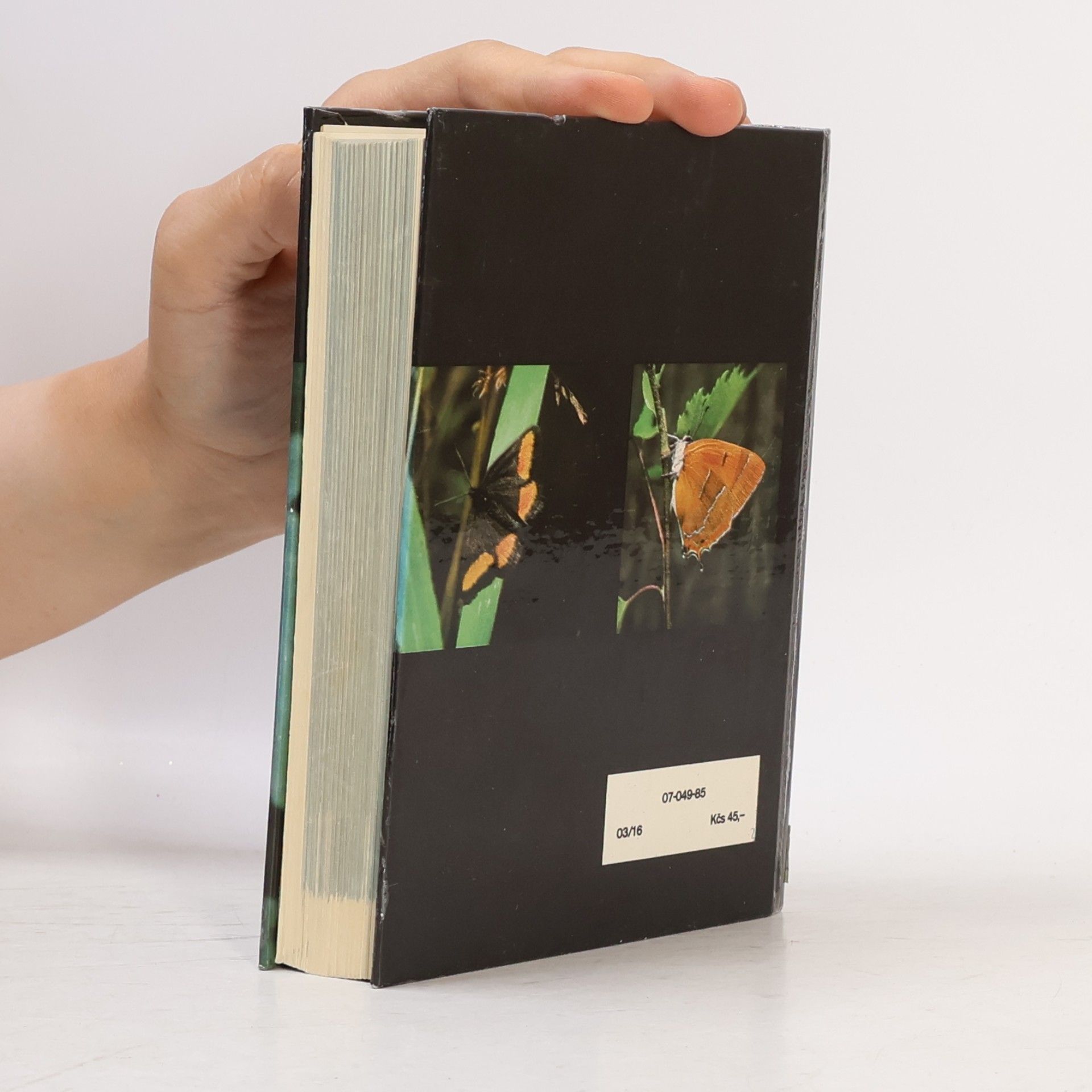 Rudolf Hrabák Kapesní atlas našich motýlů