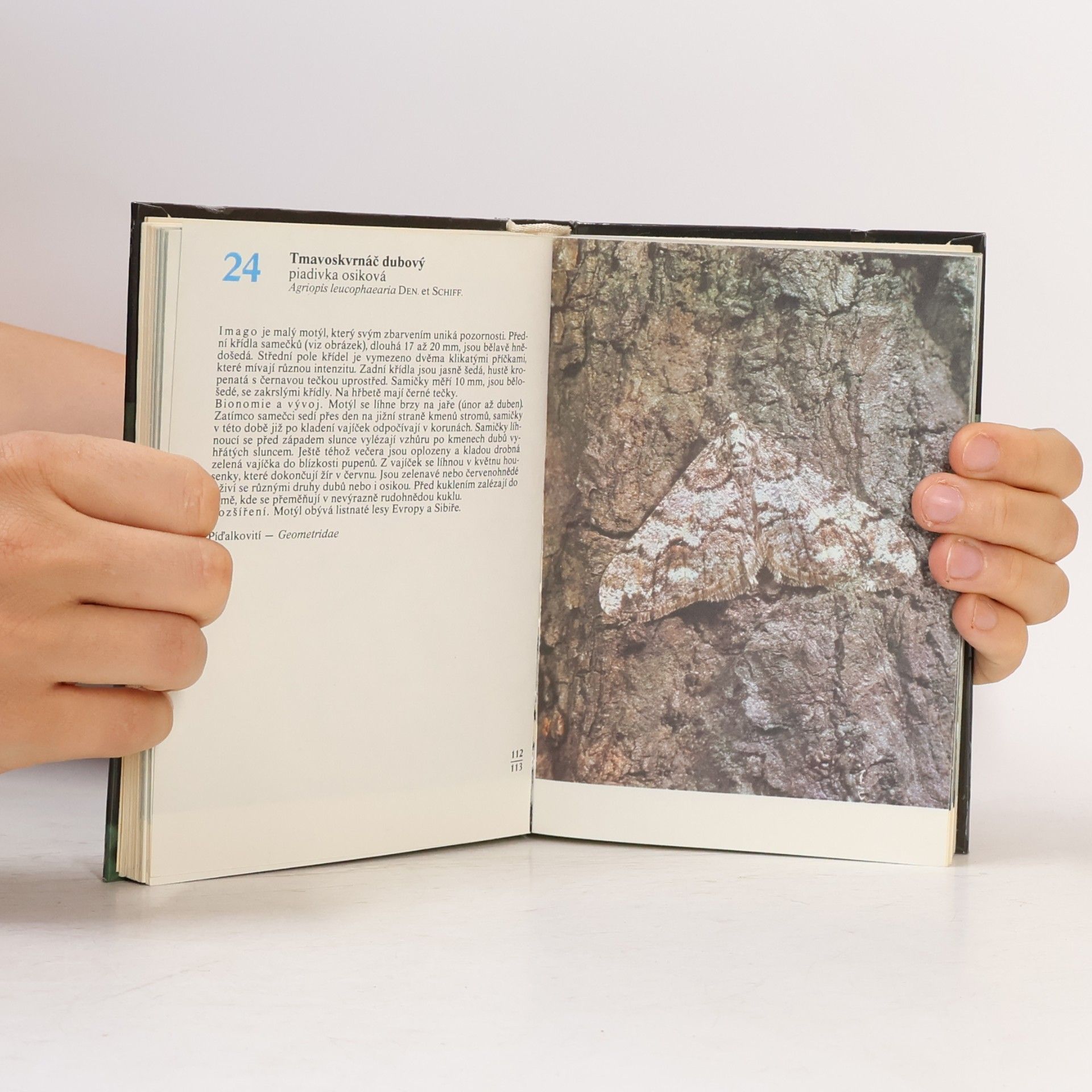 Rudolf Hrabák Kapesní atlas našich motýlů