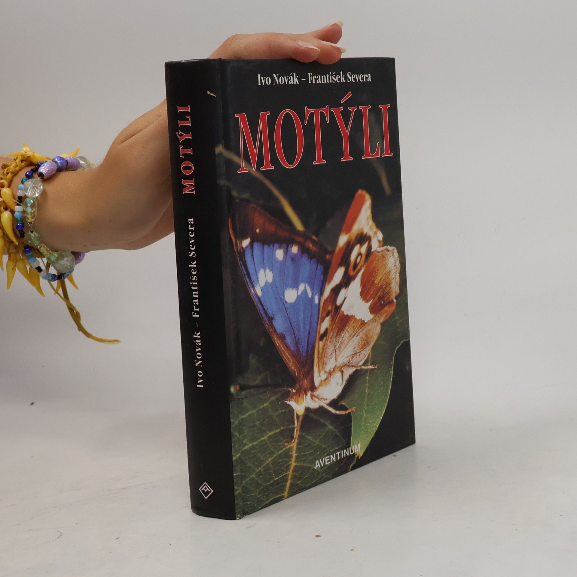 Motýli