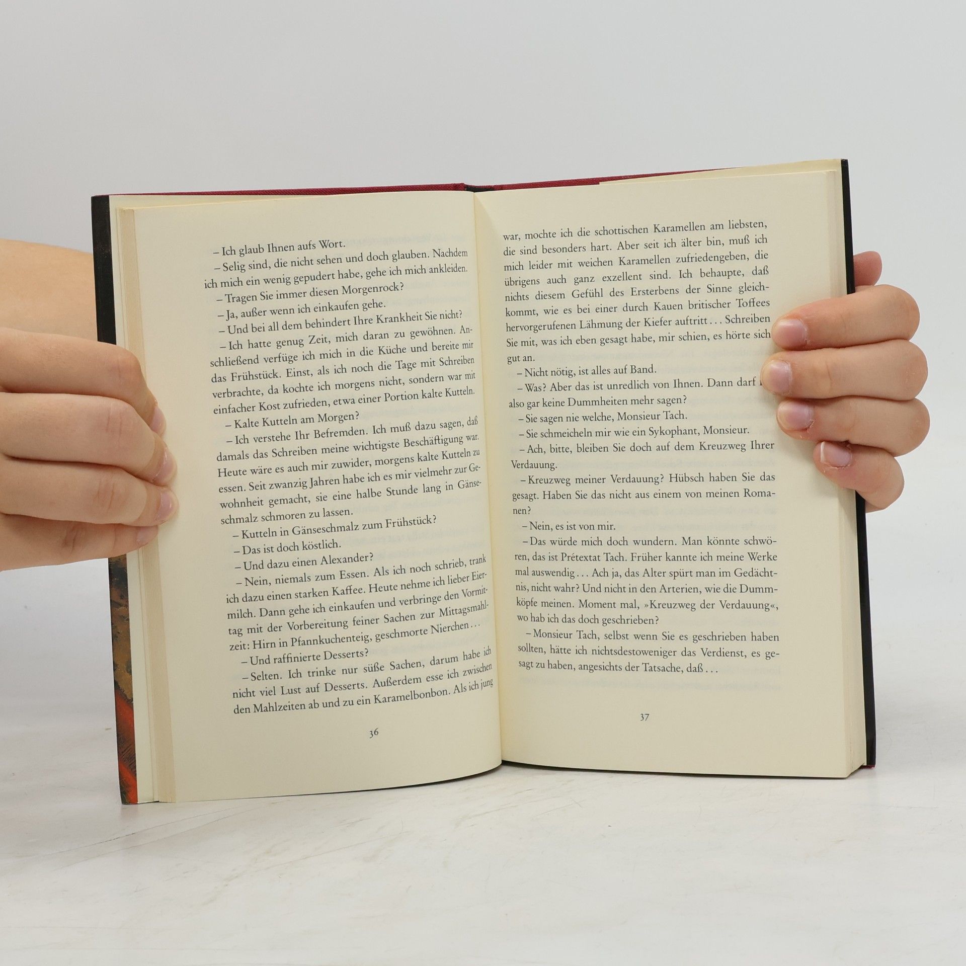 Amélie Nothomb Die Reinheit des Mörders