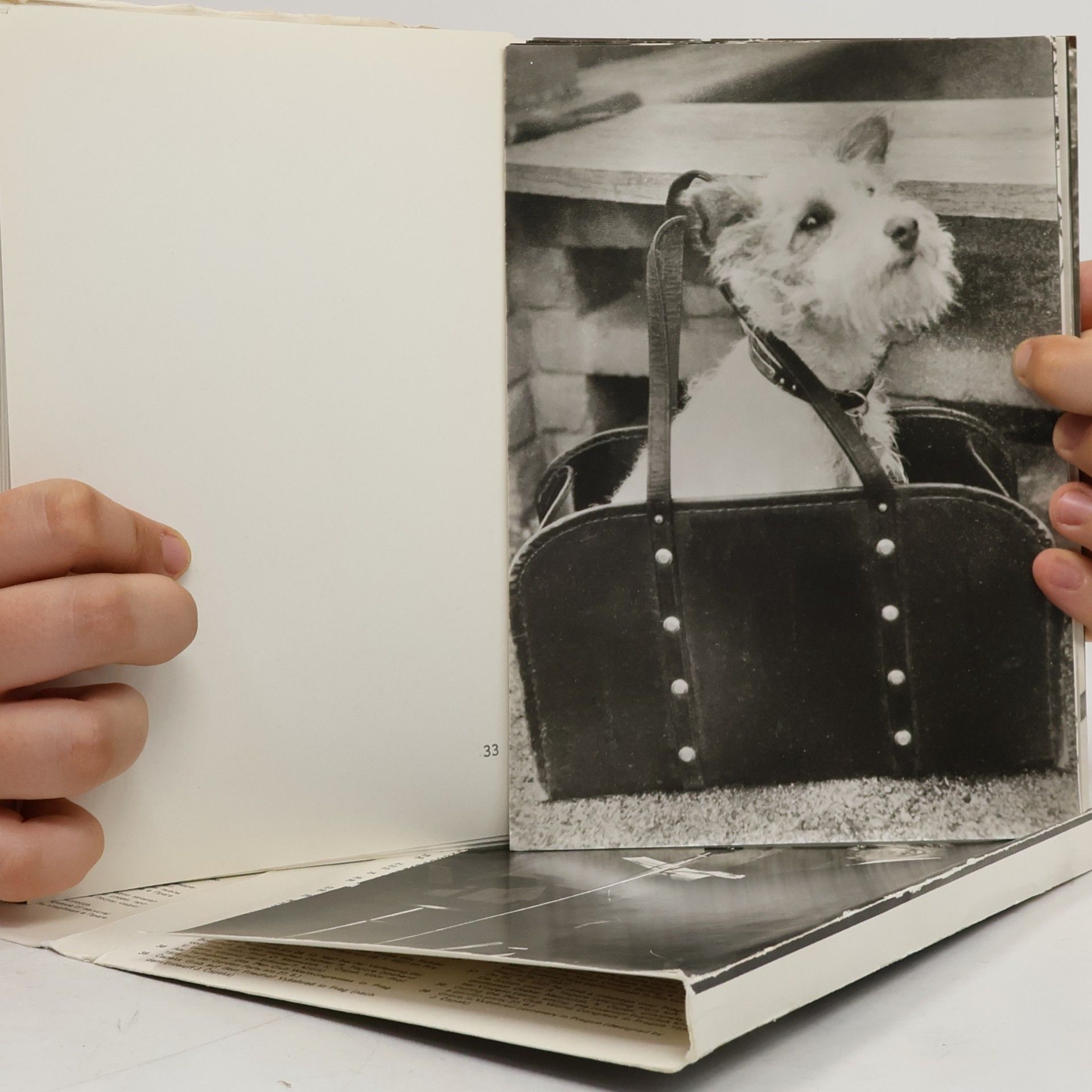 Jiří Opelík Karel Čapek ve fotografii