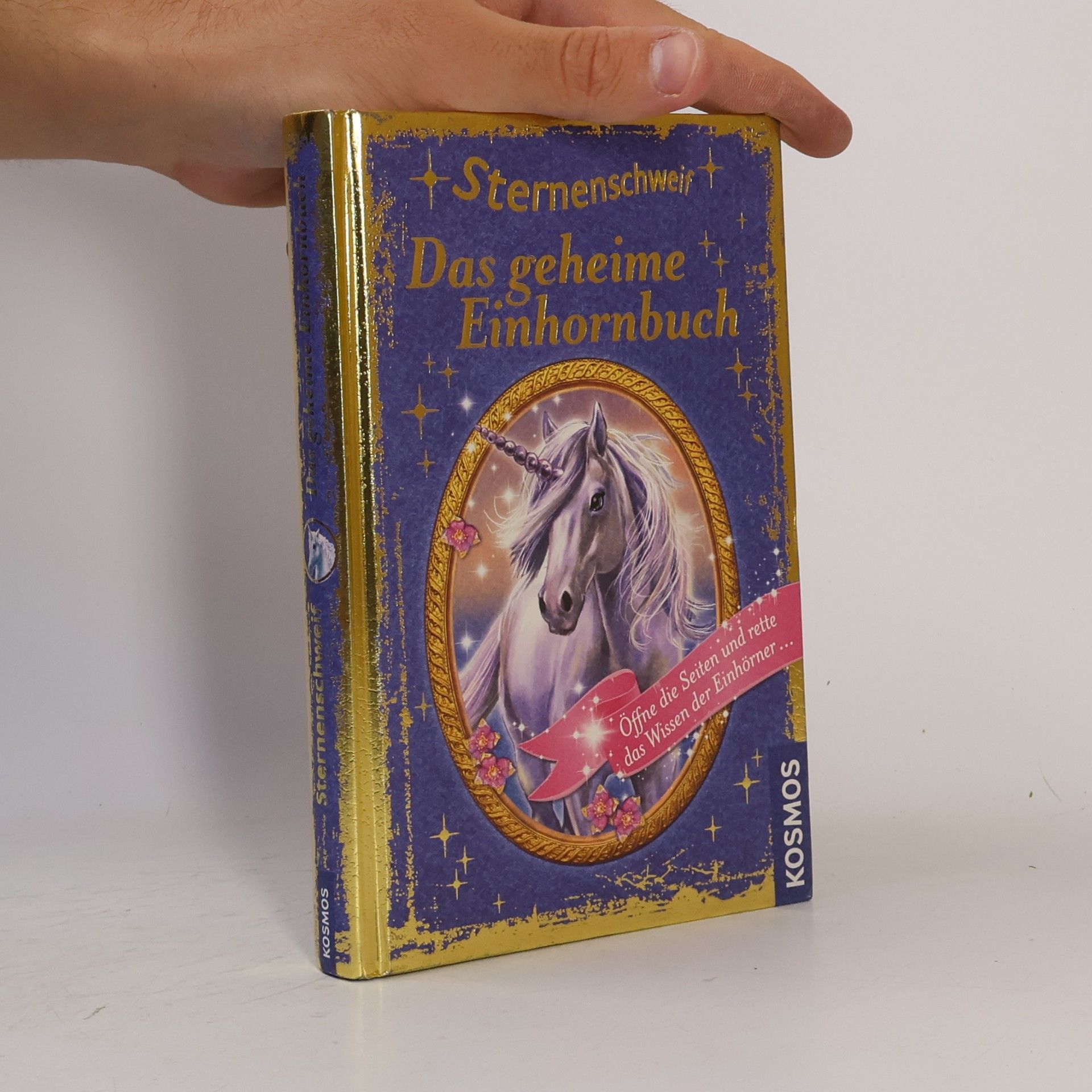 Anne Scheller Sternenschweif - das geheime Einhornbuch