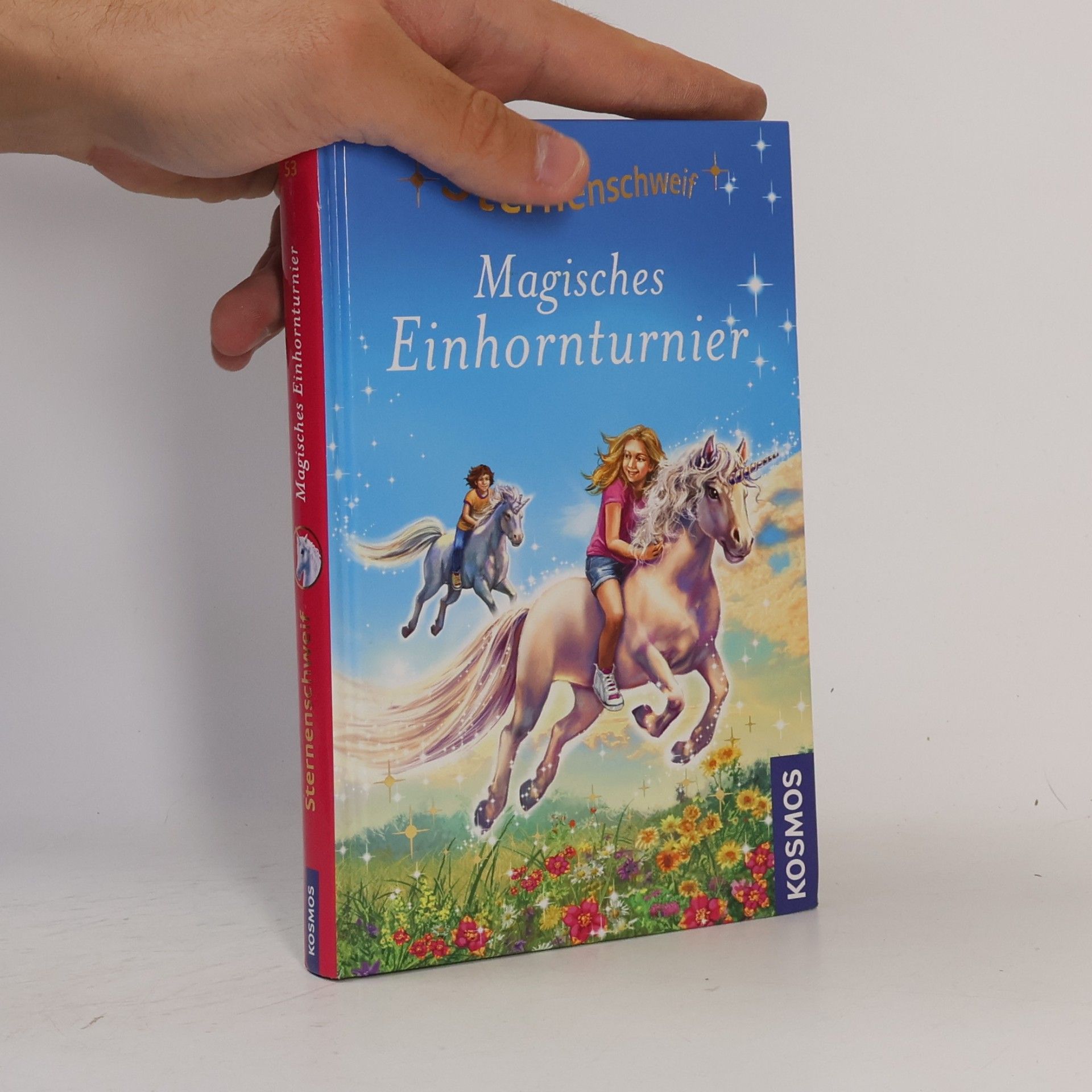 Ulrike Leistenschneider Magisches Einhornturnier
