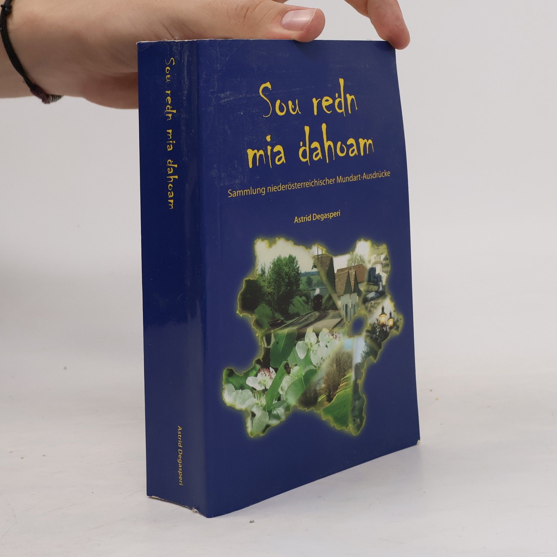 Astrid Degasperi Sou redn mia dahoam