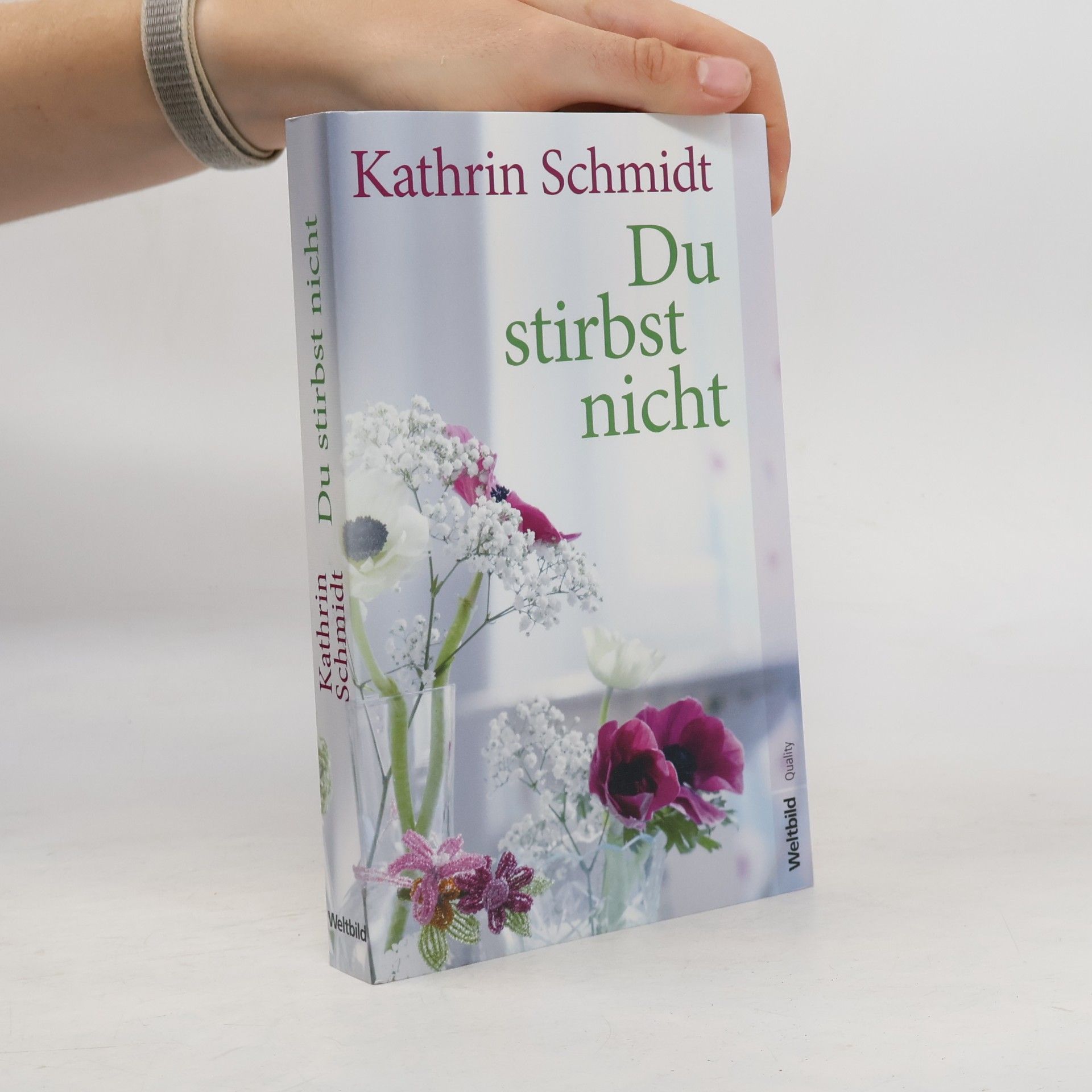 Kathrin Schmidt Du stirbst nicht