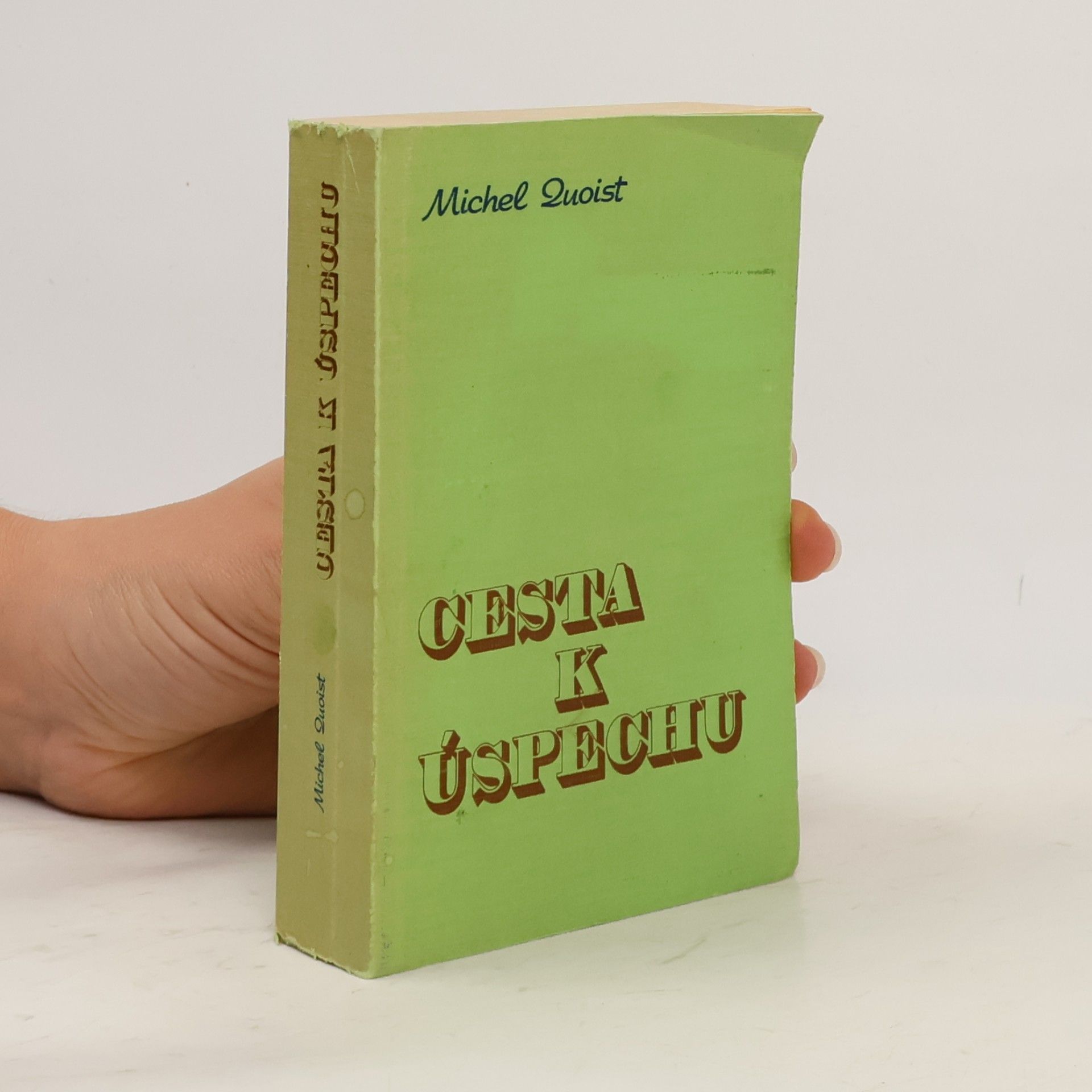 Michel Luoist Cesta k úspechu