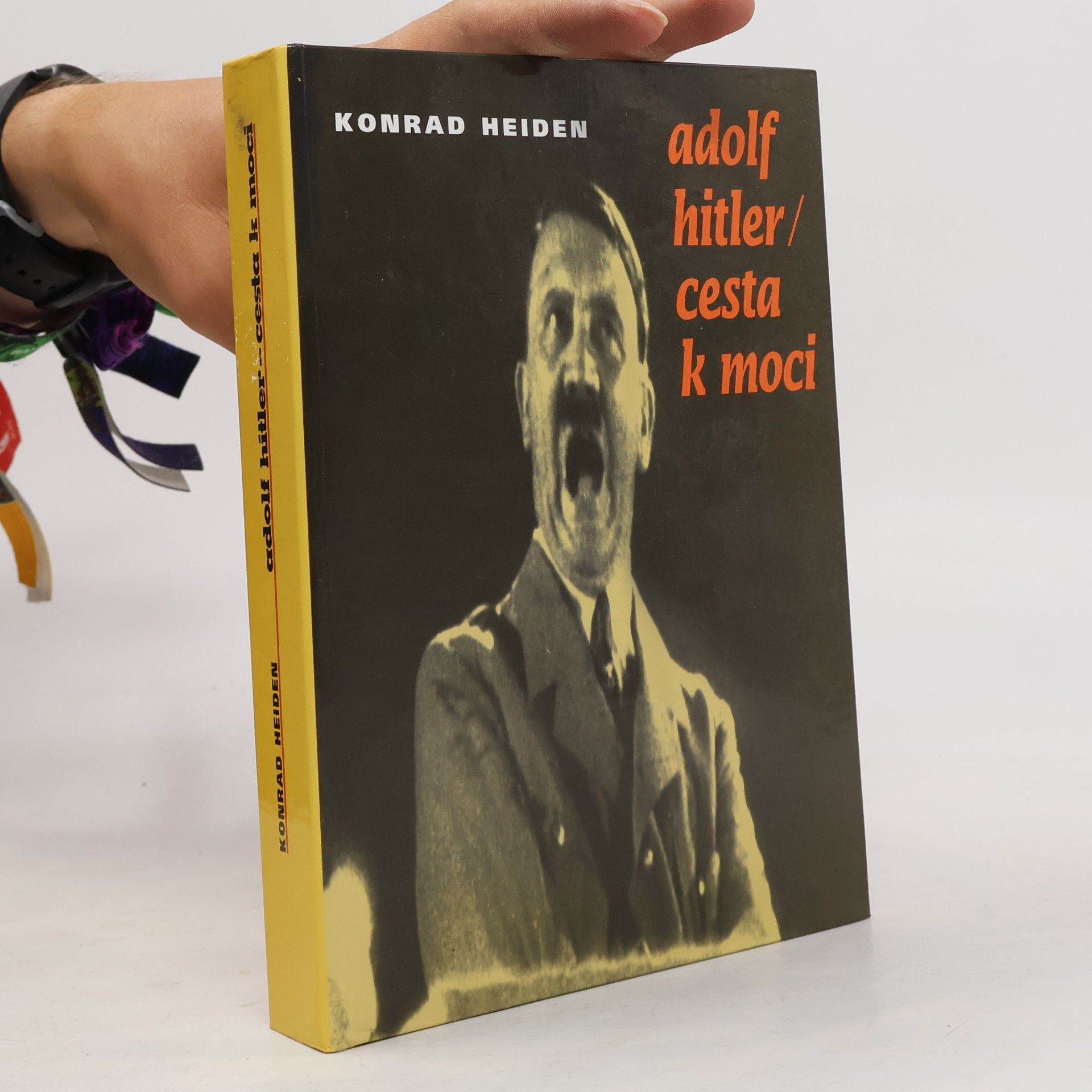 Adolf Hitler: Cesta k moci