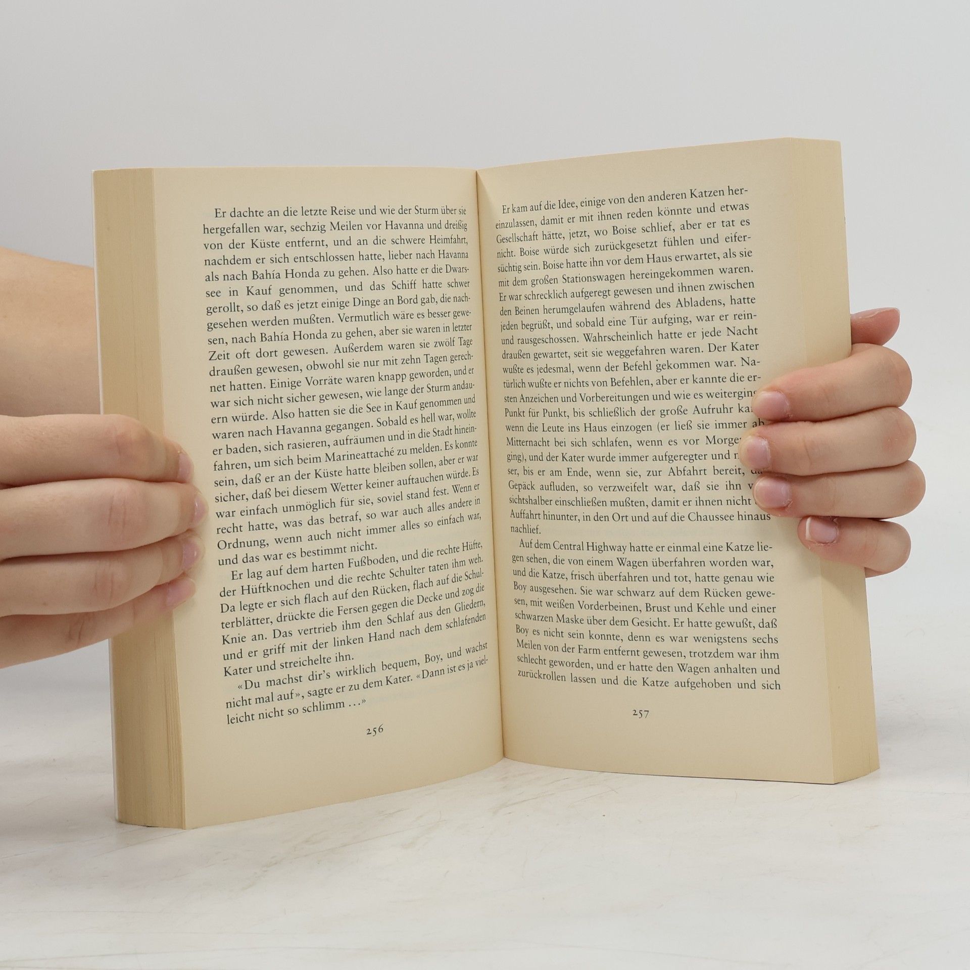 Ernest Hemingway Inseln im Strom