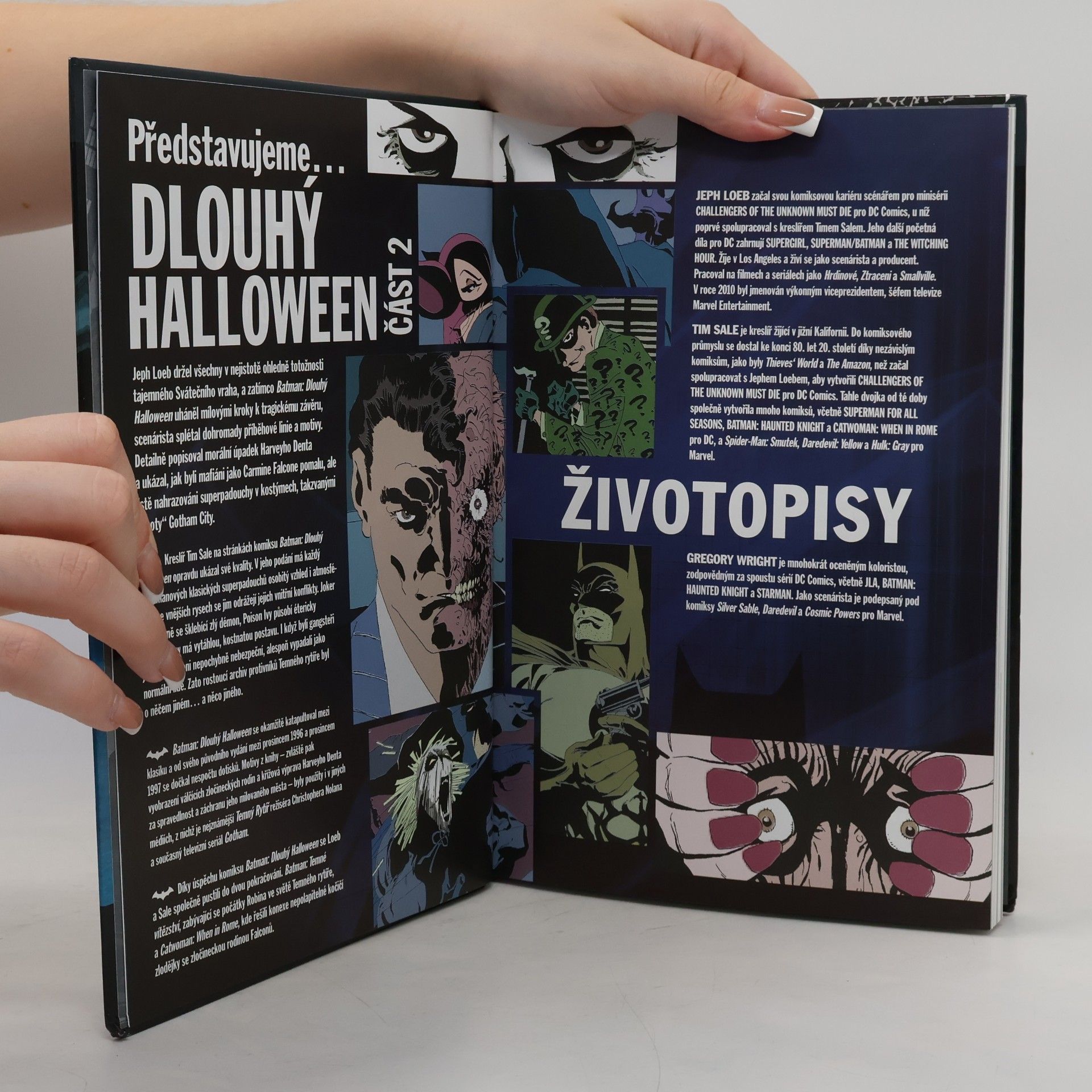 Jeph Loeb Batman. Dlouhý Halloween 2