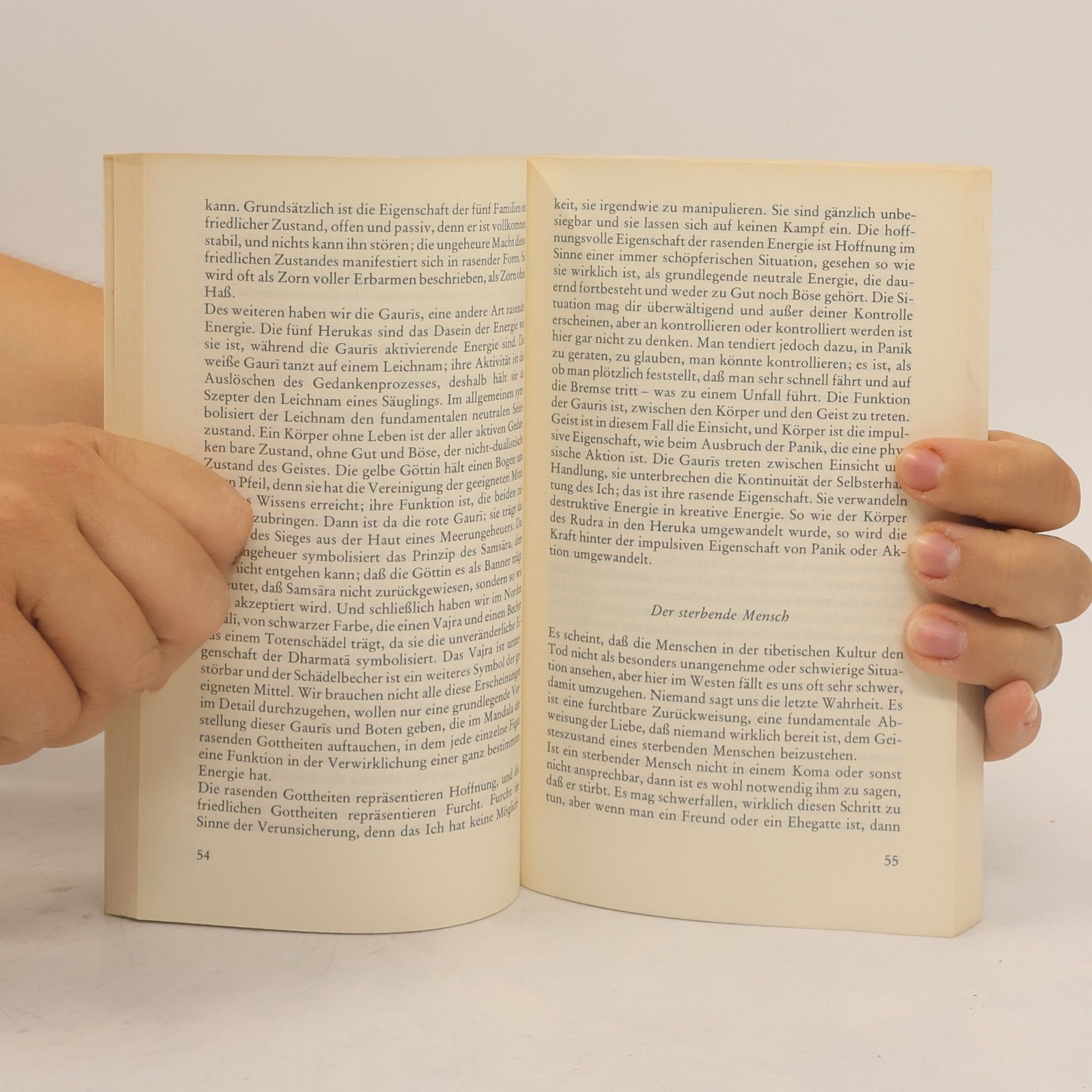Autorenkollektiv Das Totenbuch der Tibeter