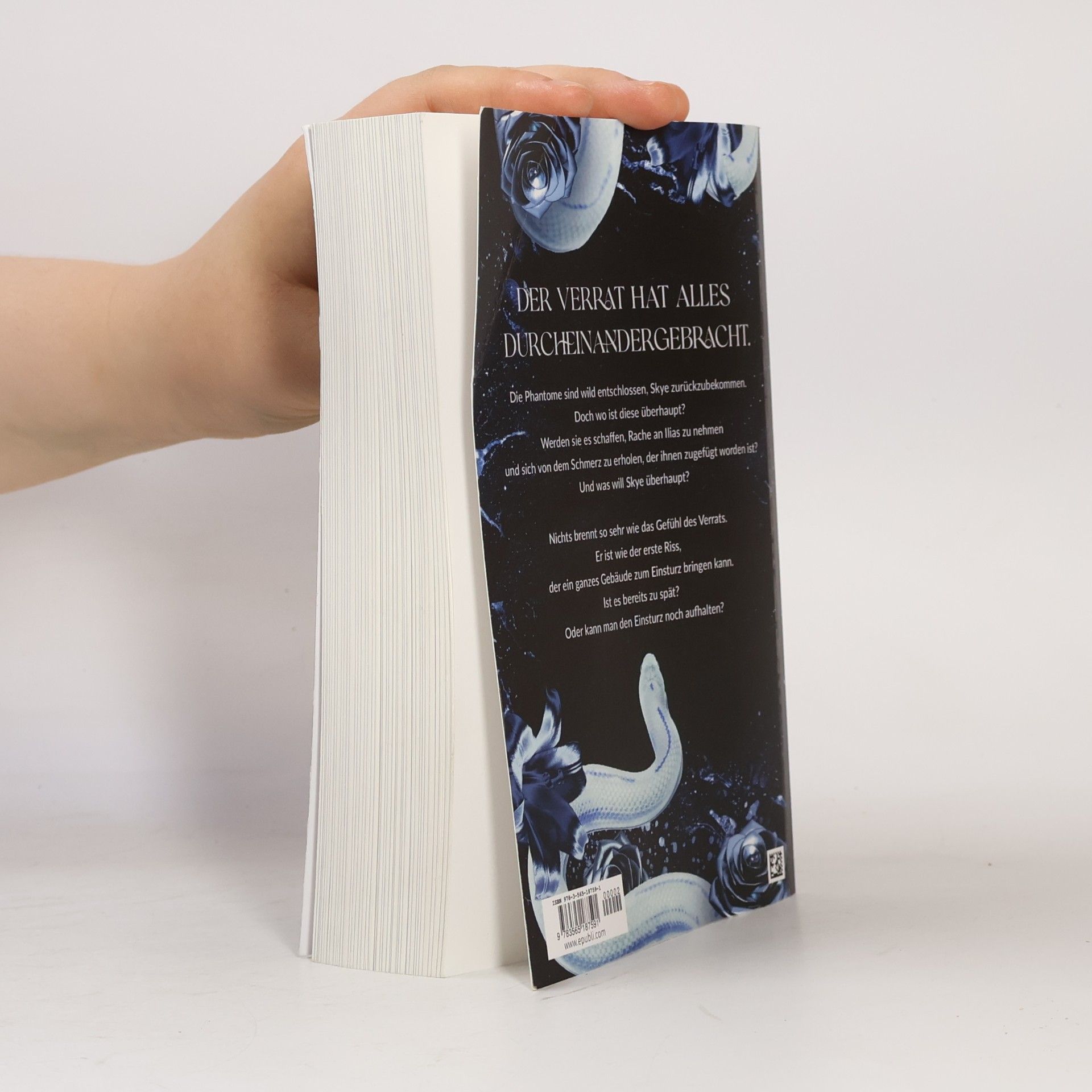 Leonie S. Hochmuth Rising-Demons-Reihe - 2: The Four Rising Demons