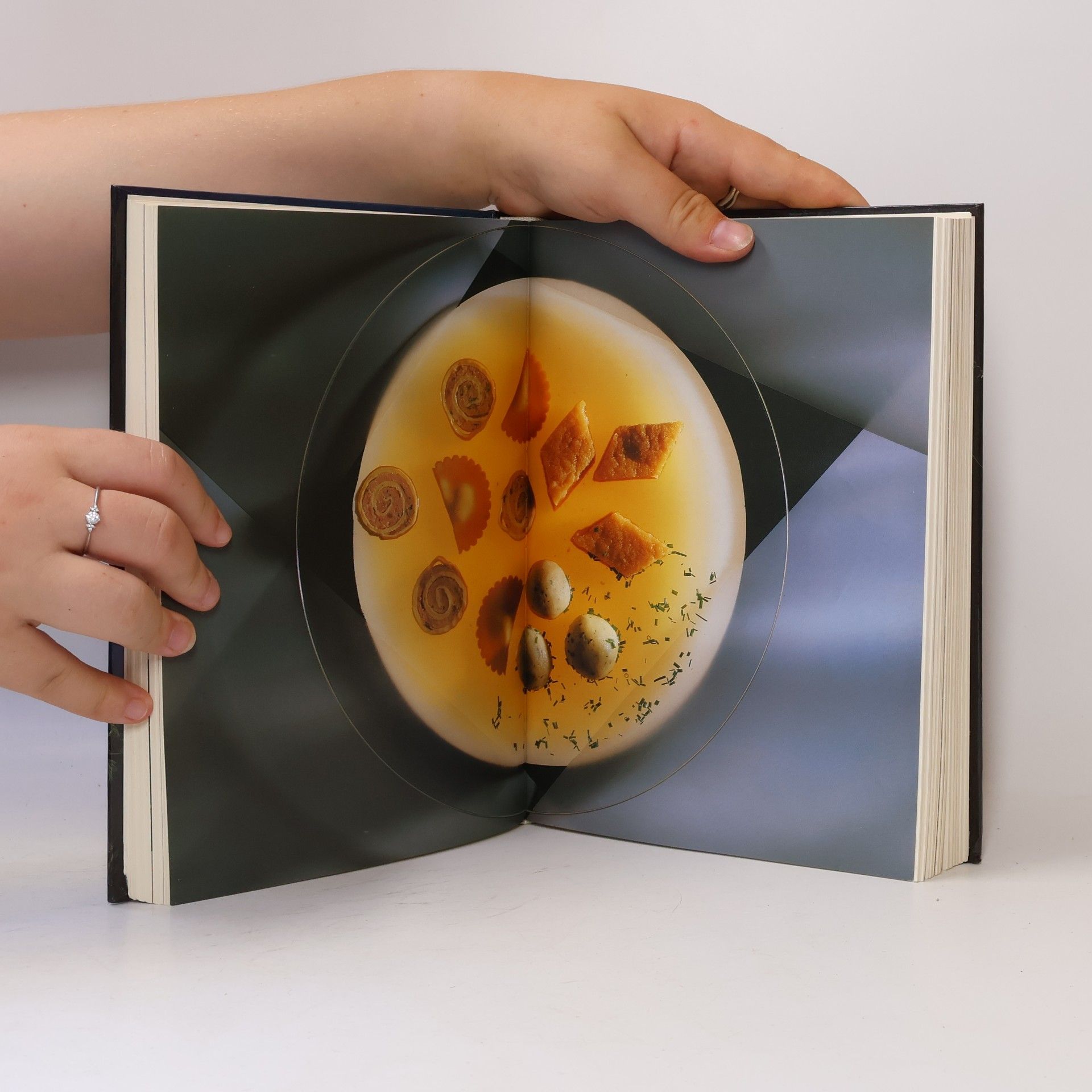 Ewald Plachutta Die gute Küche. Das österreichische Jahrhundert Kochbuch