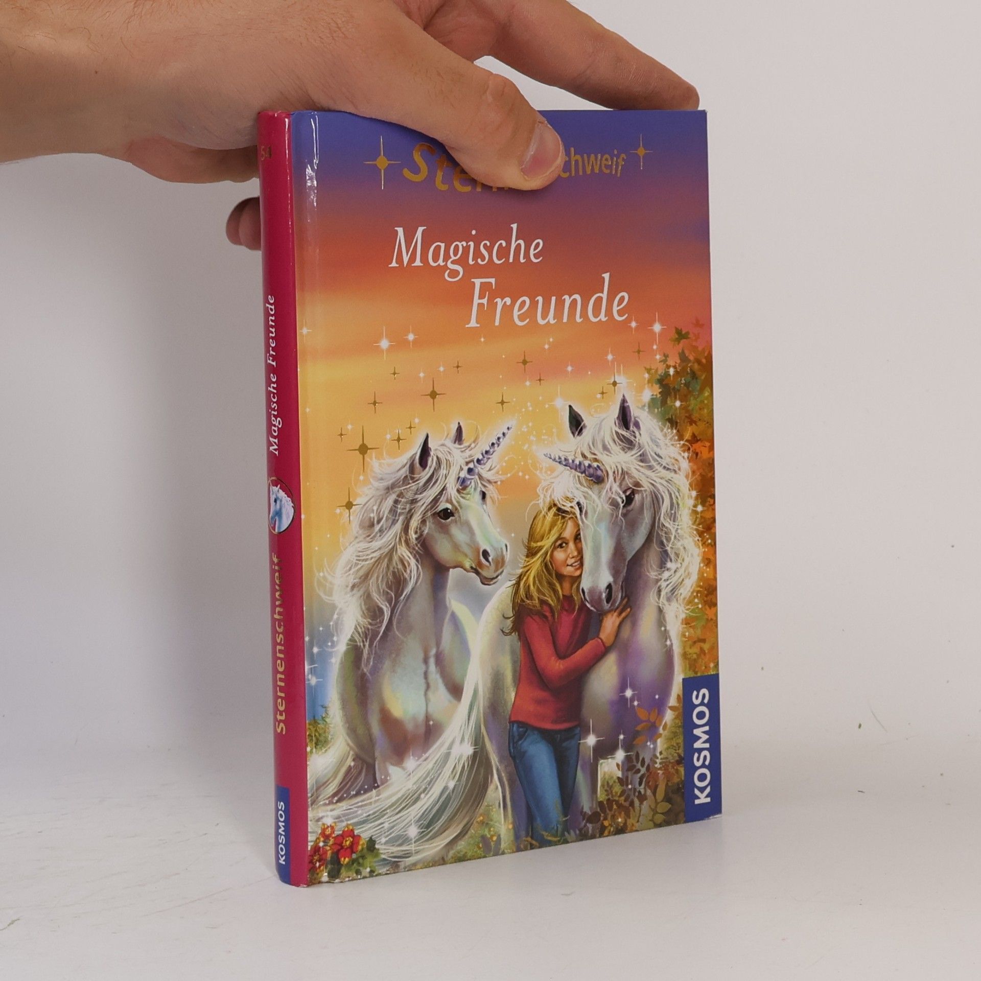 Linda Champan Magische Freunde