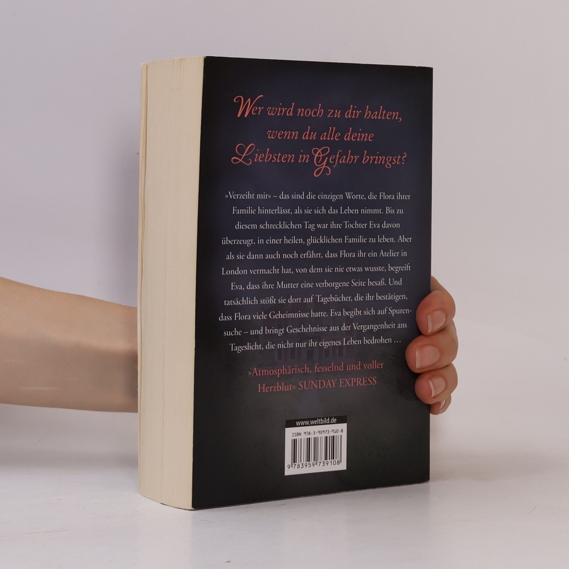 Lesley Pearse Das Geheimnis von Carlisle