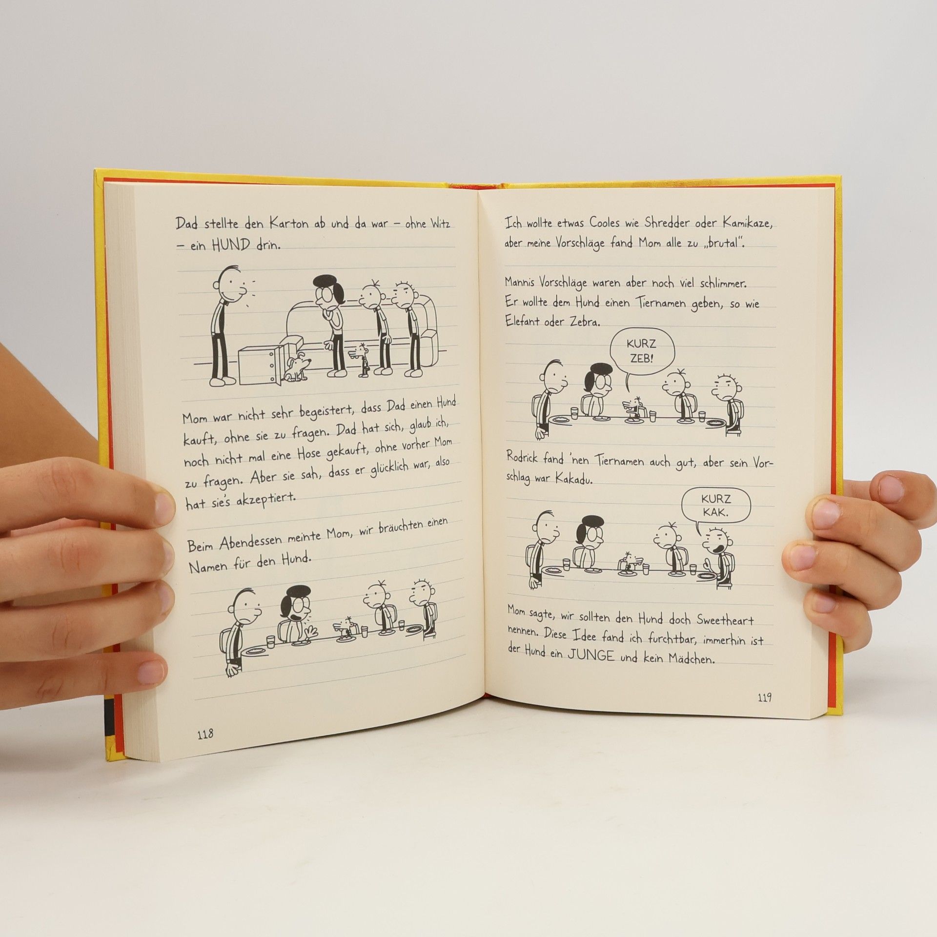 Jeff Kinney Gregs Tagebuch 4. Ich war's nicht!