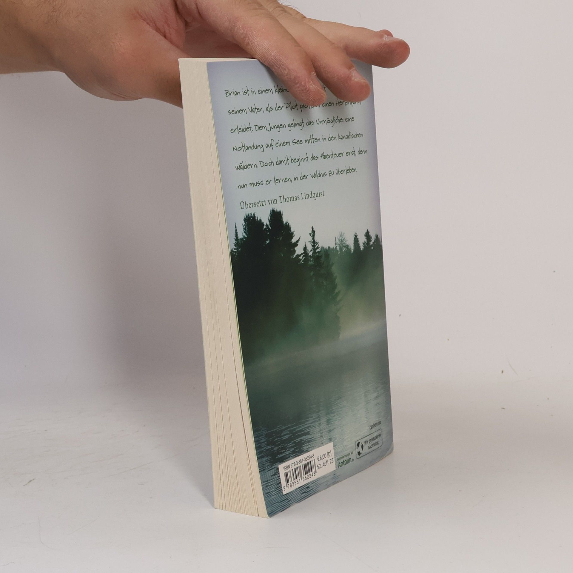 Gary Paulsen Allein in der Wildnis