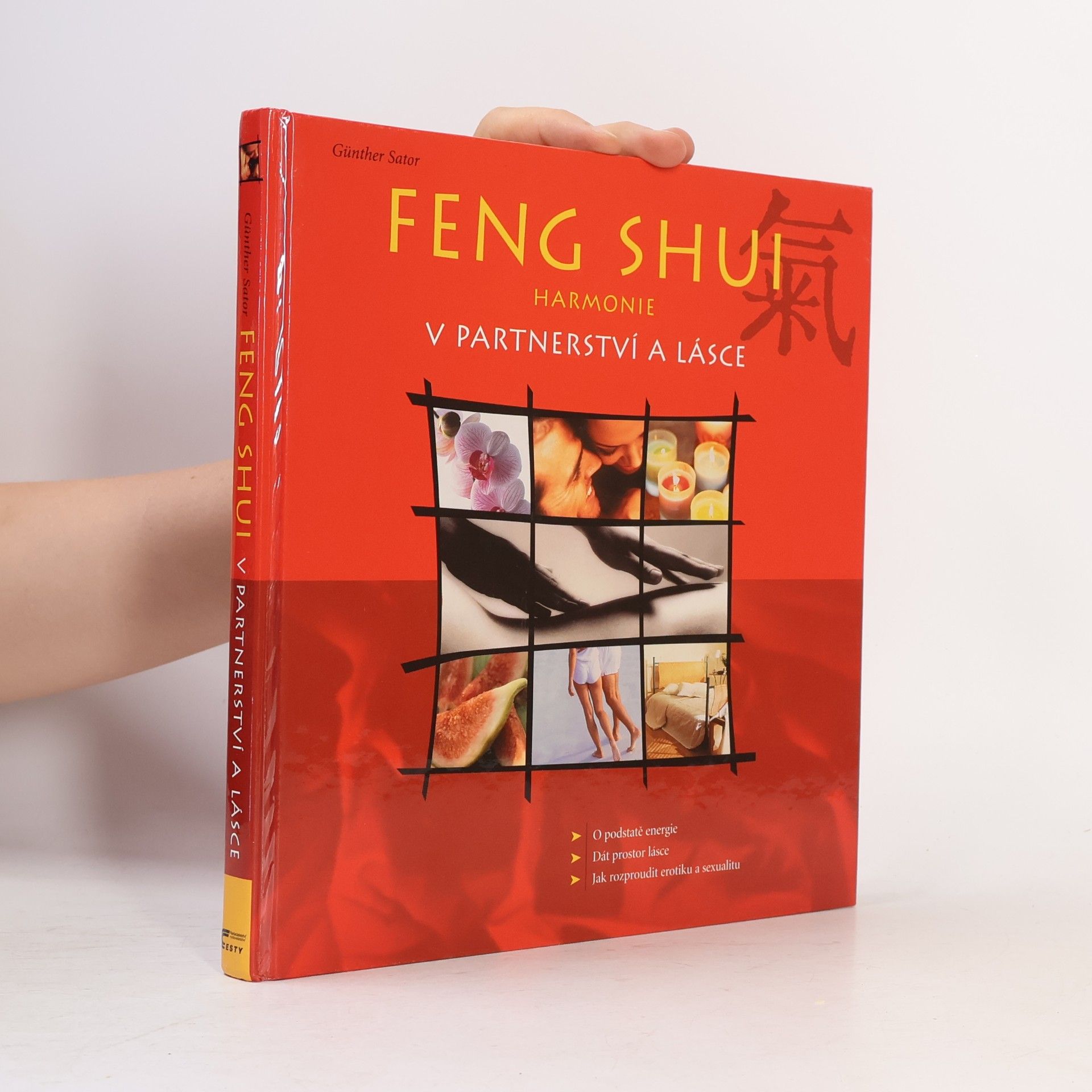 Günther Sator Feng shui. Harmonie v partnerství a lásce